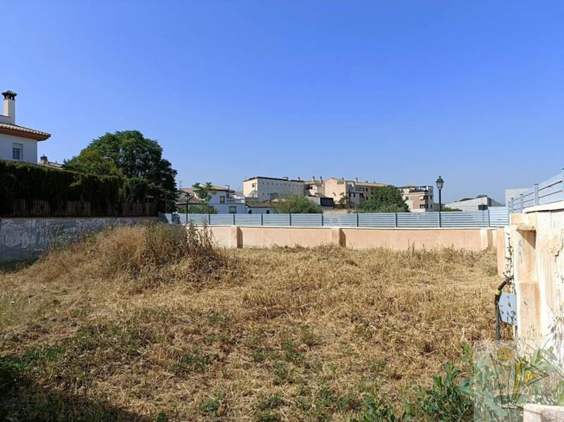 For sale of land in Cájar