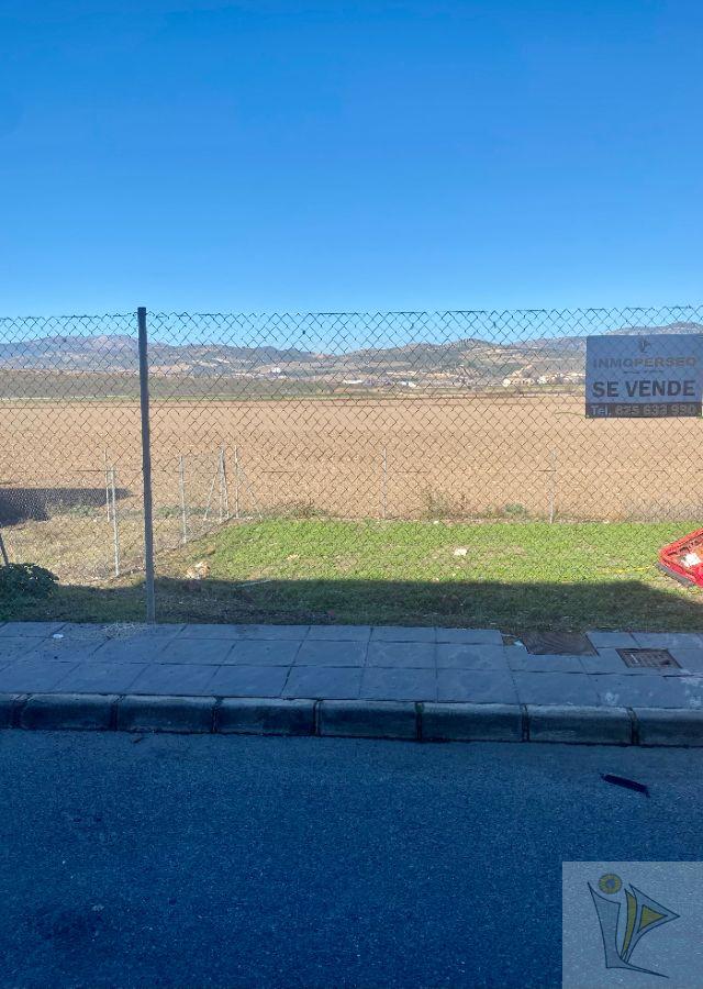 For sale of land in Pinos Puente