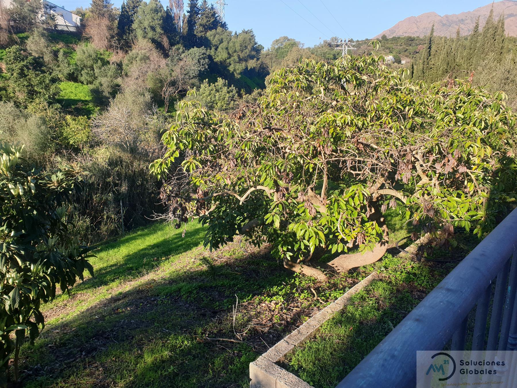 La terre