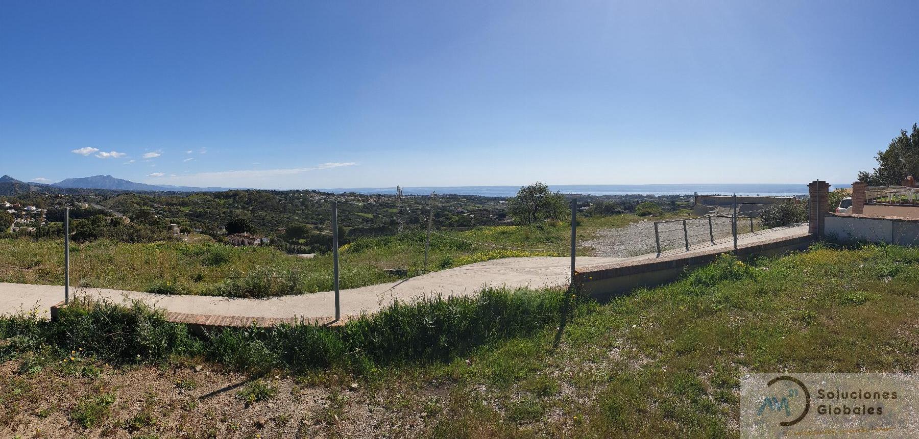 Vista