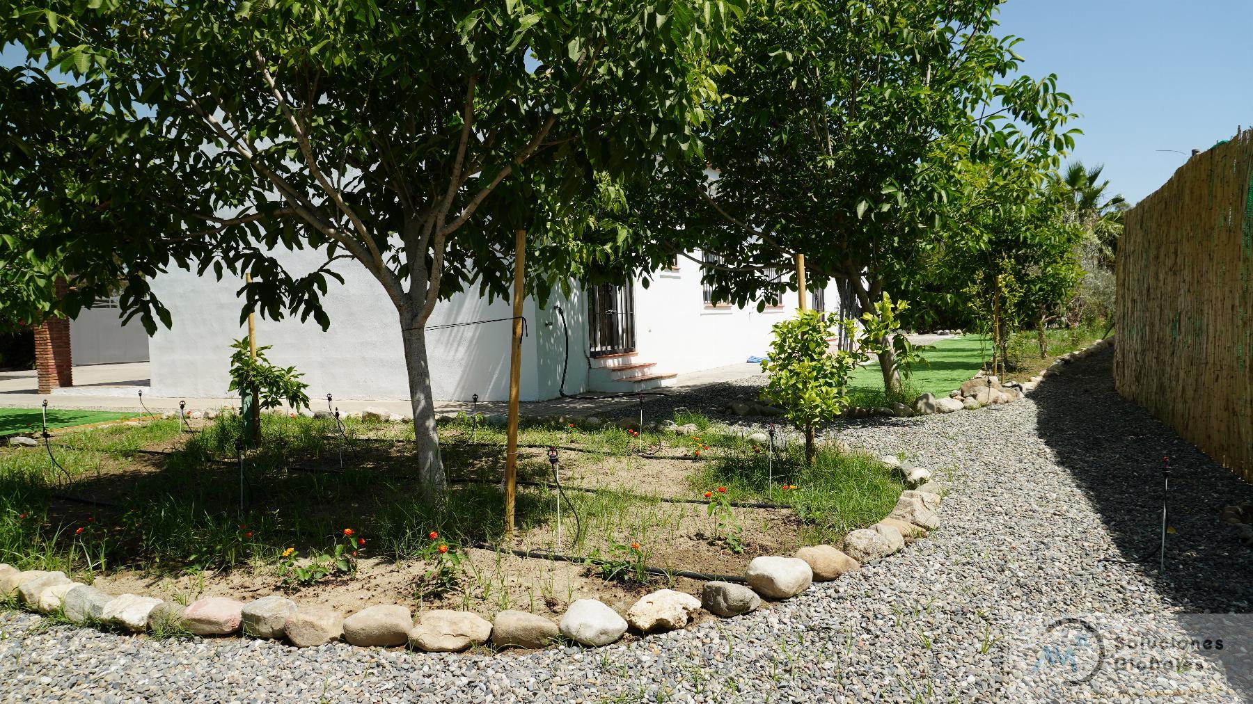 Tuin