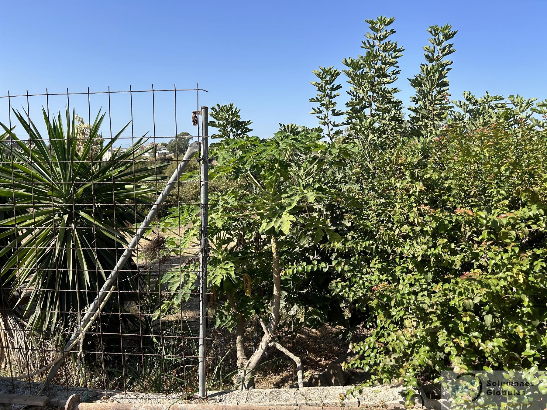 Surroundings