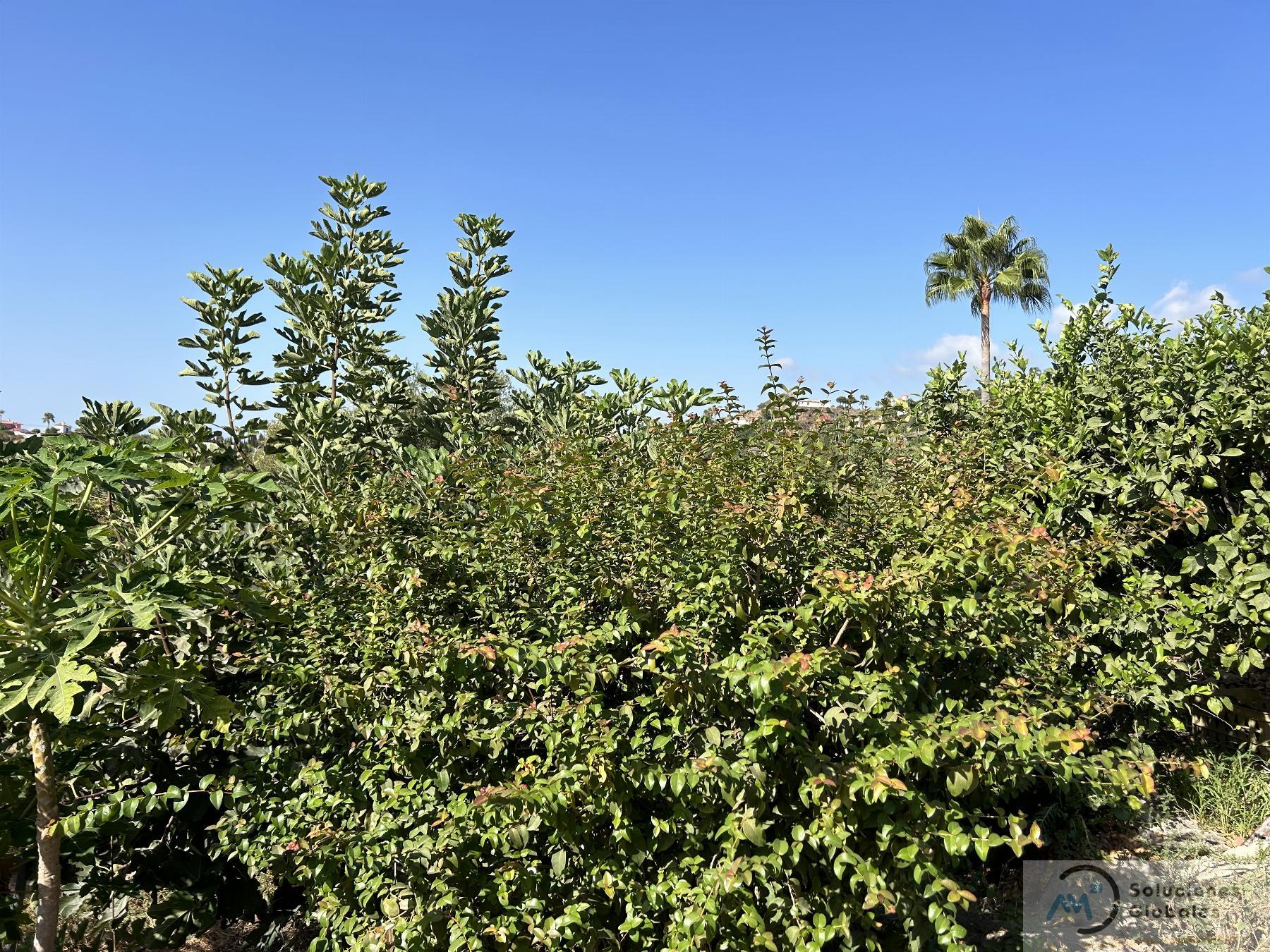 Surroundings
