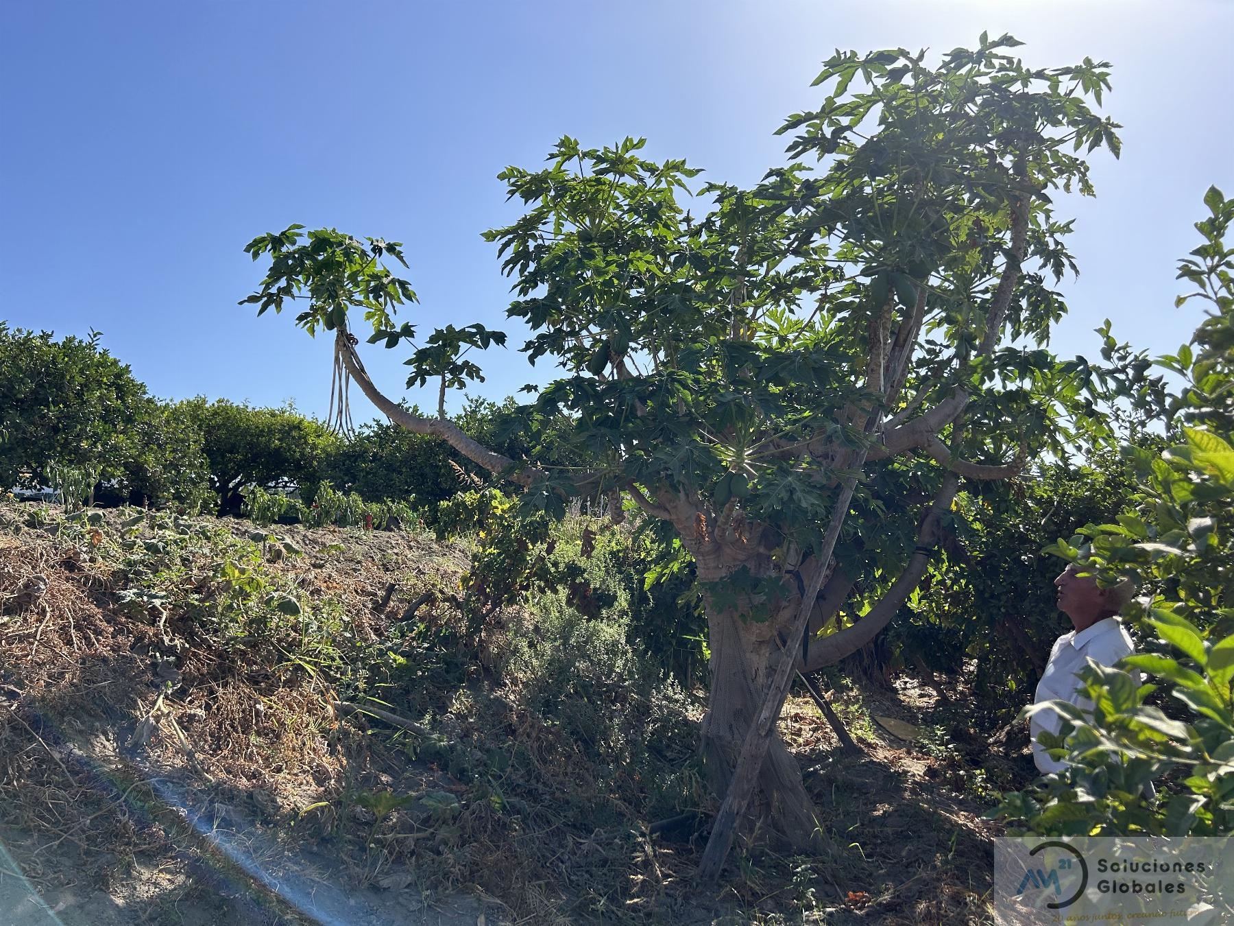 Surroundings