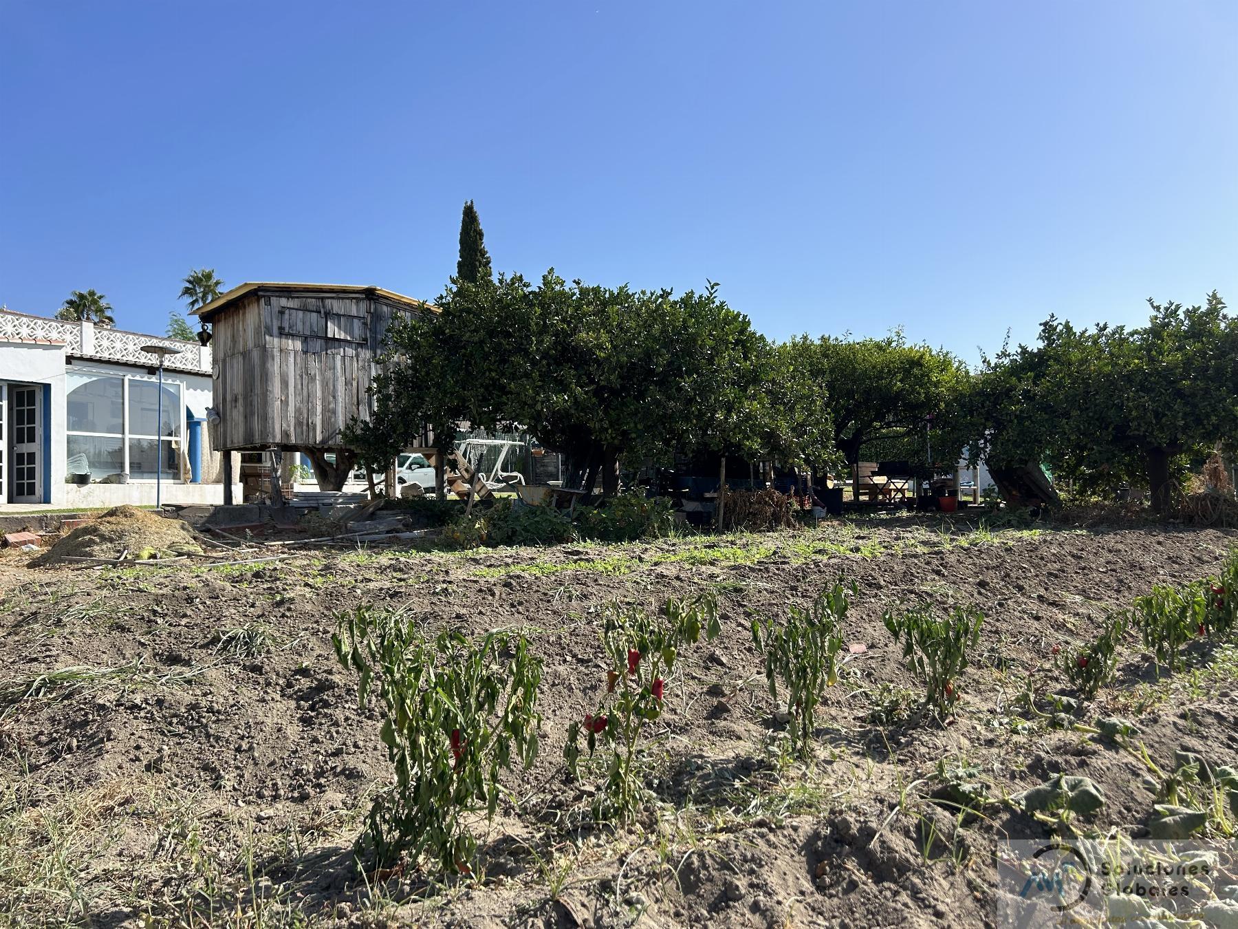 Surroundings