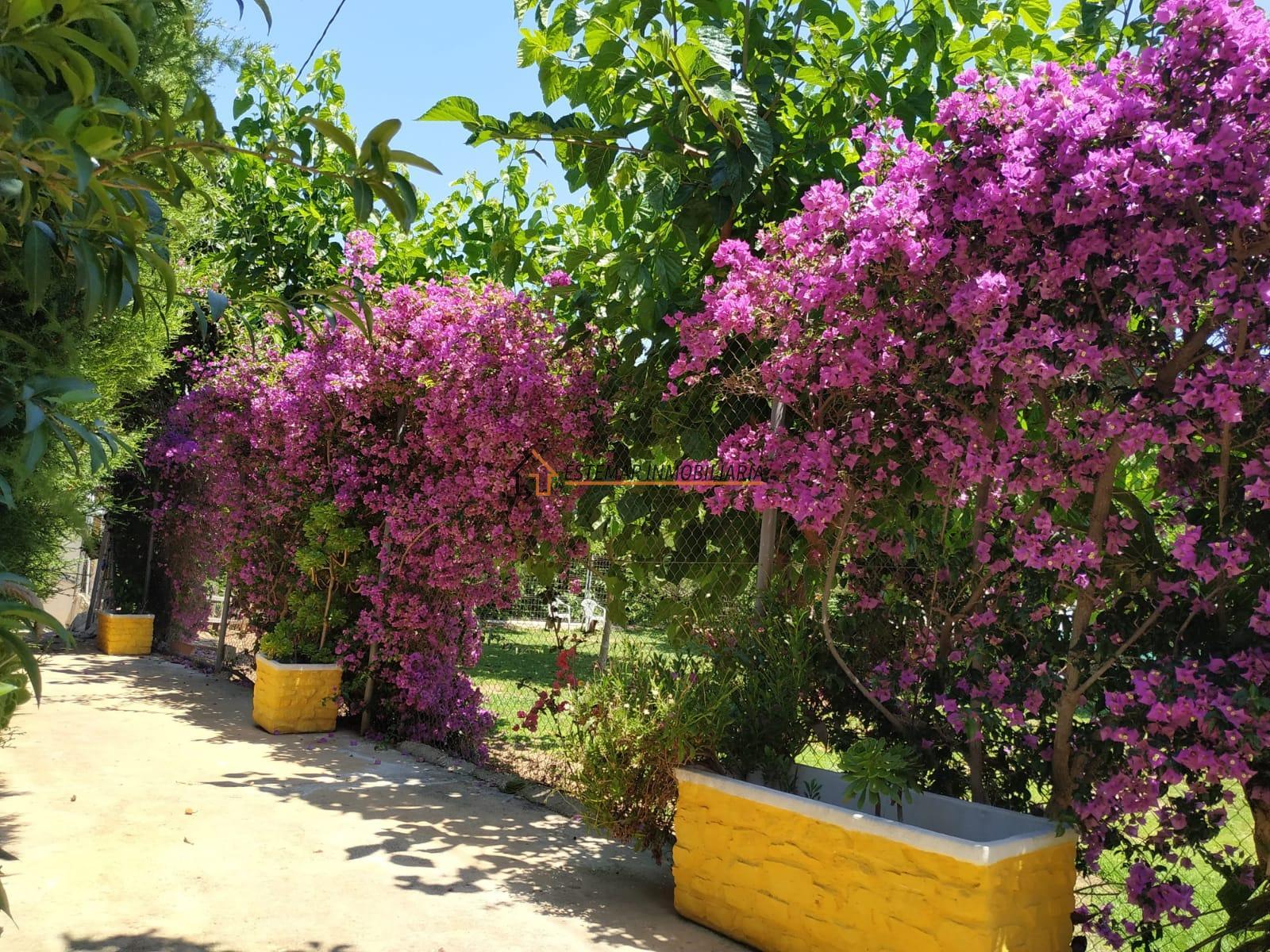 For sale of chalet in Gandia