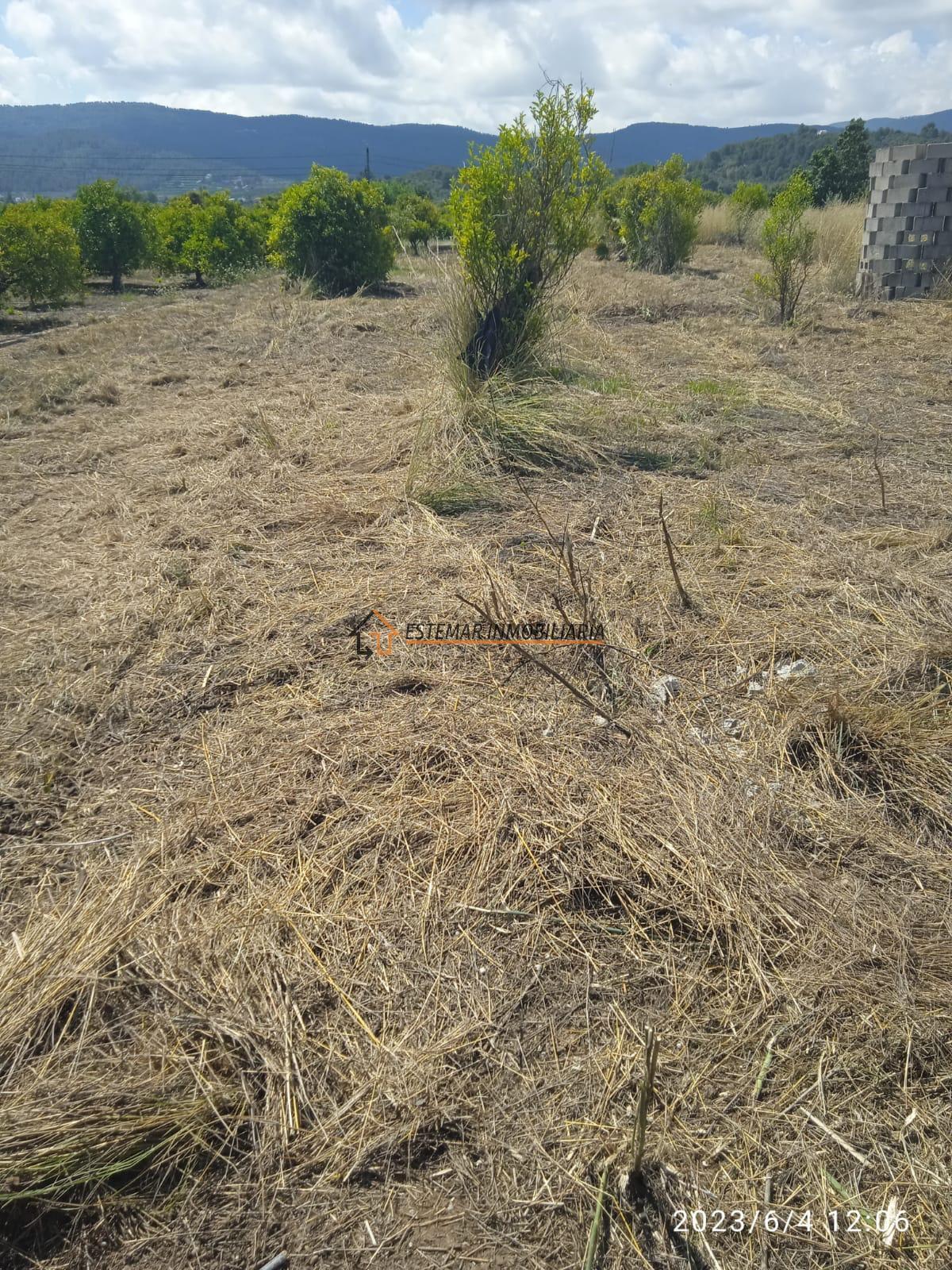 For sale of land in Potríes