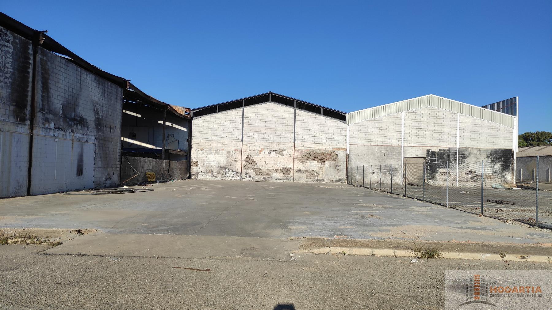 For sale of land in Dos Hermanas