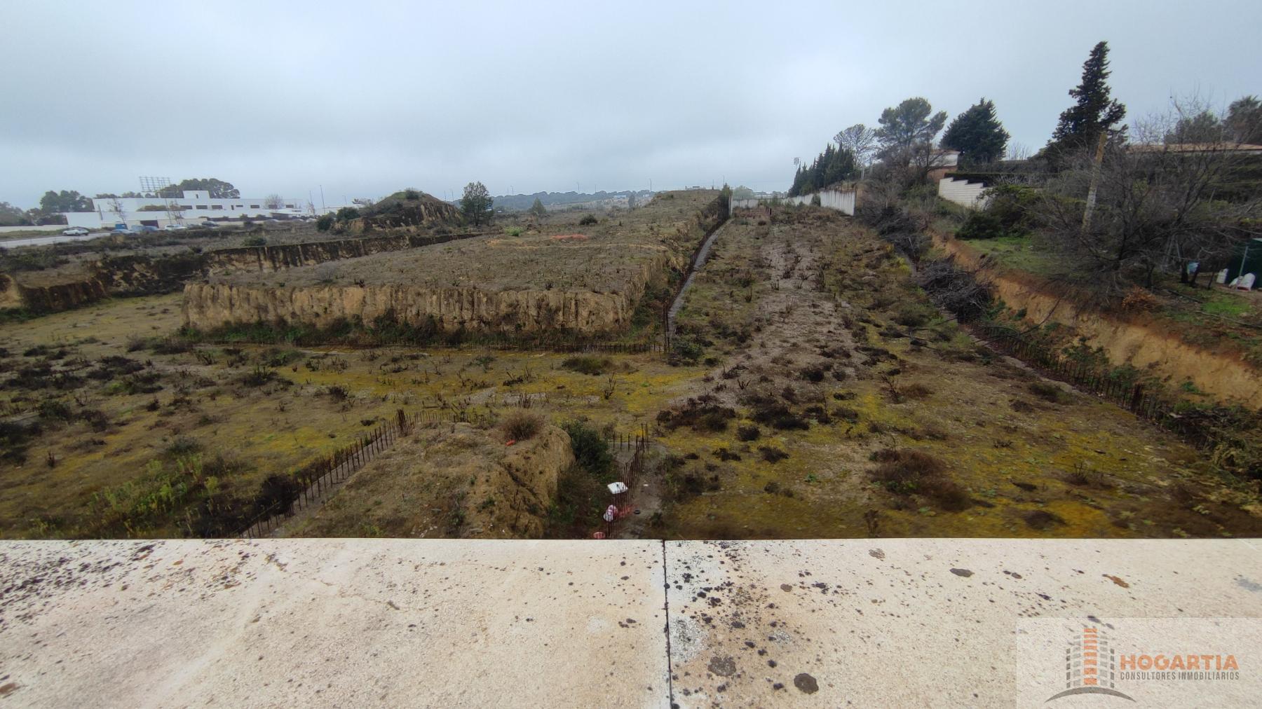 For sale of house in Las Pajanosas