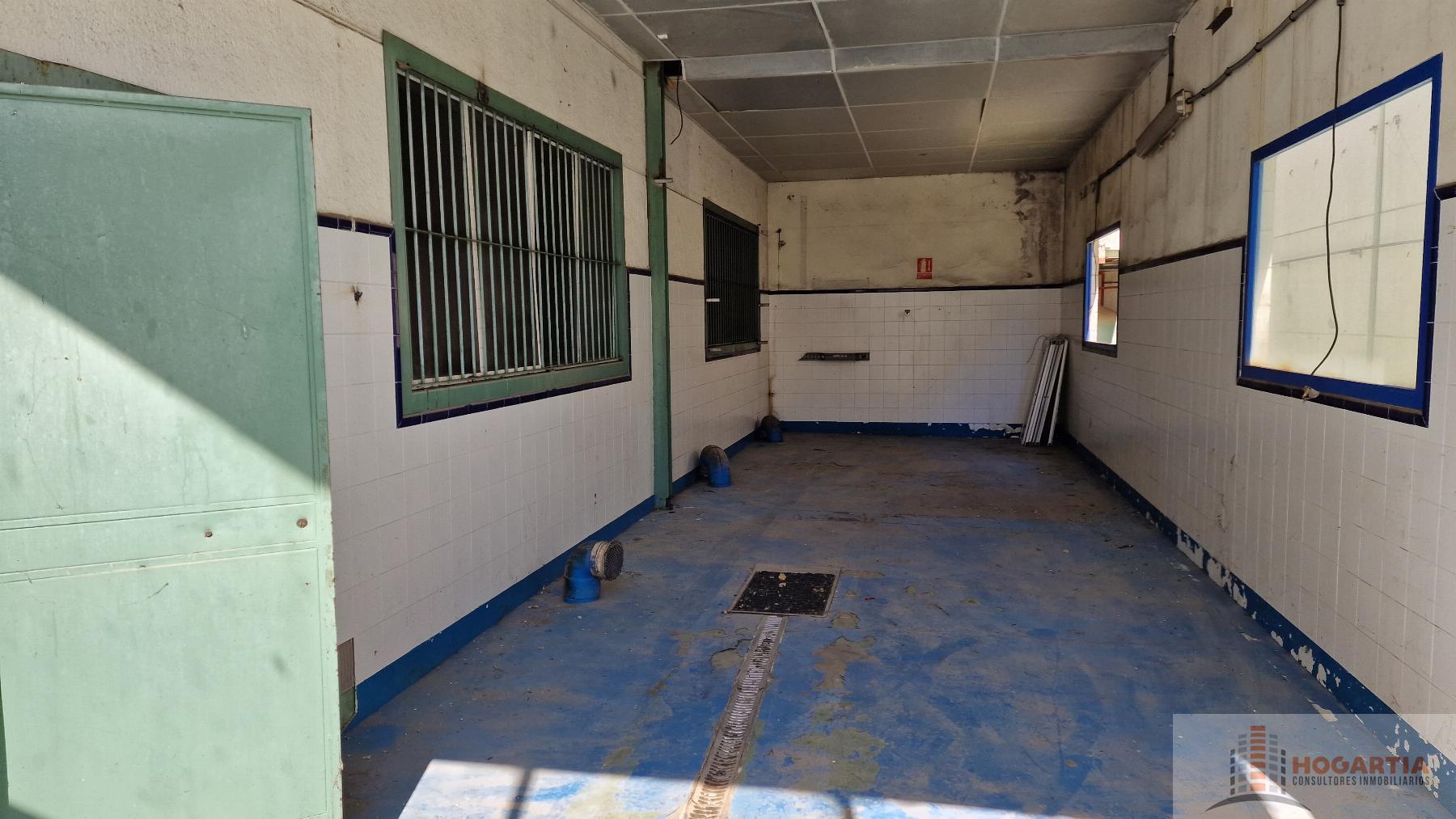 For rent of industrial plant/warehouse in Dos Hermanas