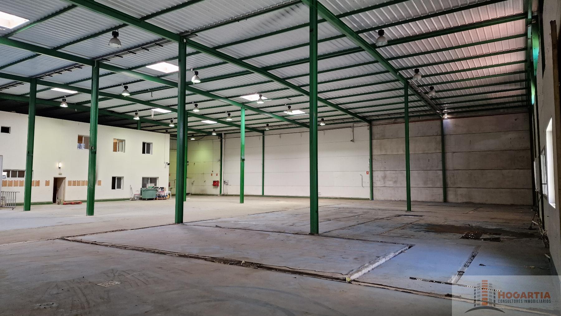 For rent of industrial plant/warehouse in Dos Hermanas