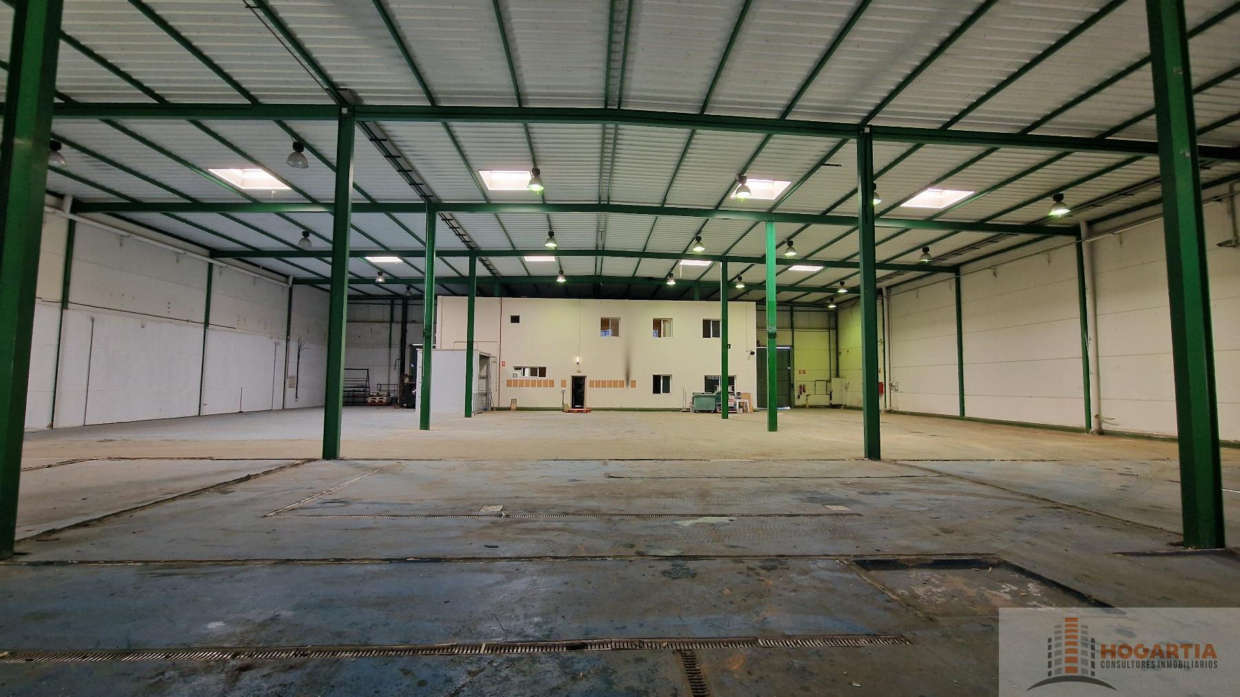 For rent of industrial plant/warehouse in Dos Hermanas