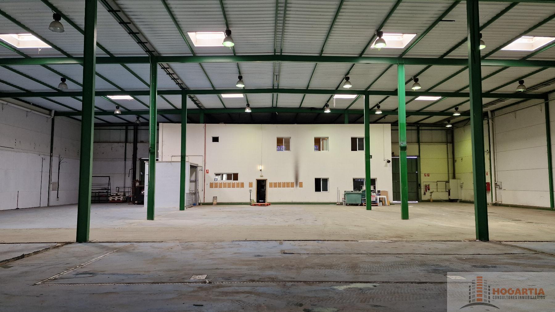 For rent of industrial plant/warehouse in Dos Hermanas