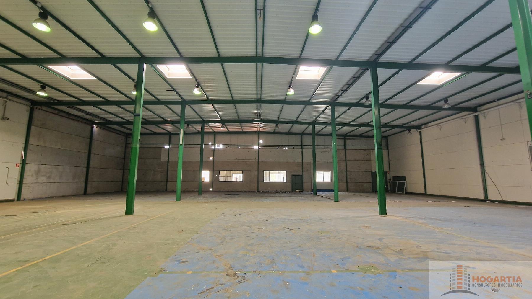 For rent of industrial plant/warehouse in Dos Hermanas