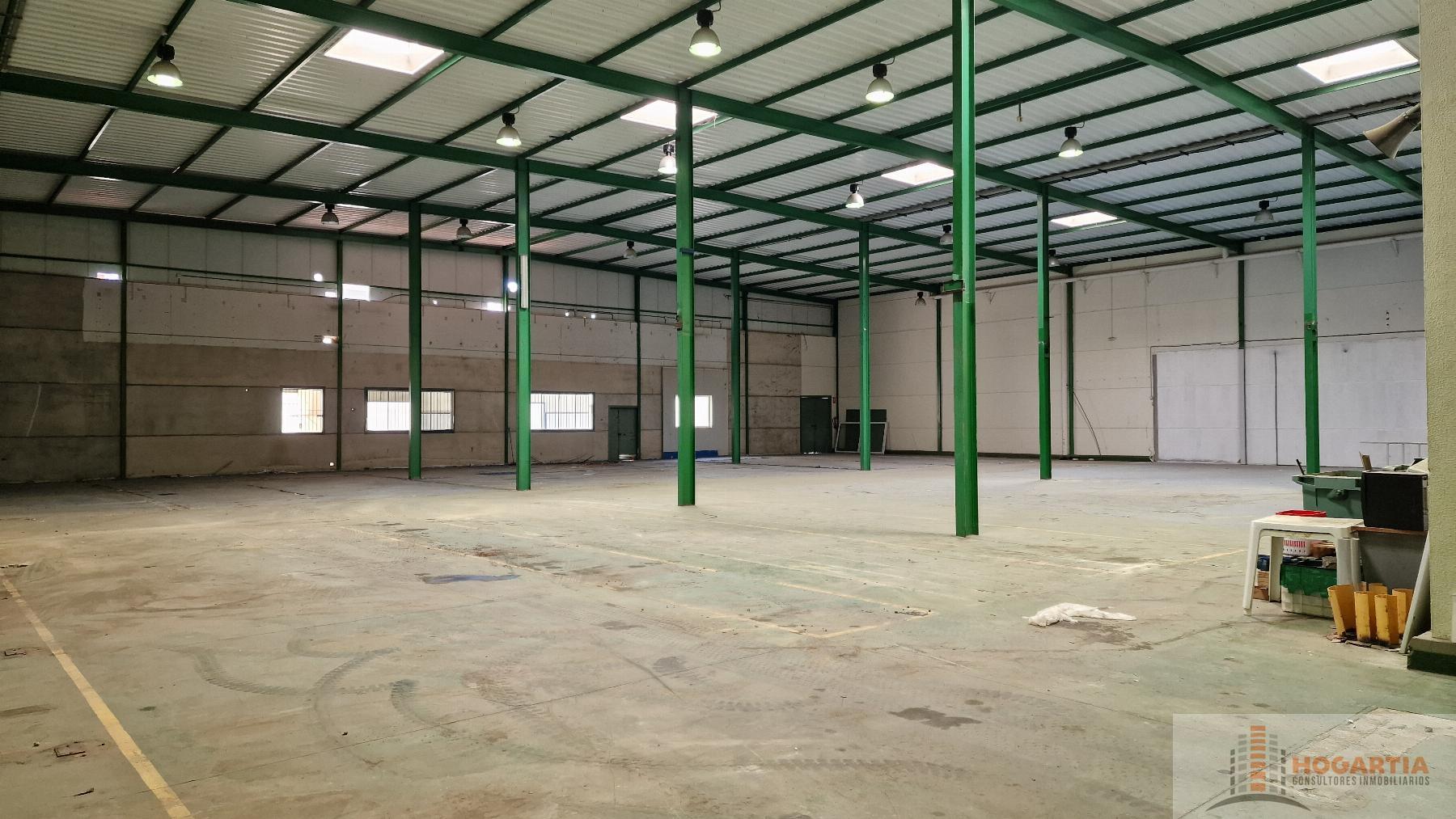 For rent of industrial plant/warehouse in Dos Hermanas