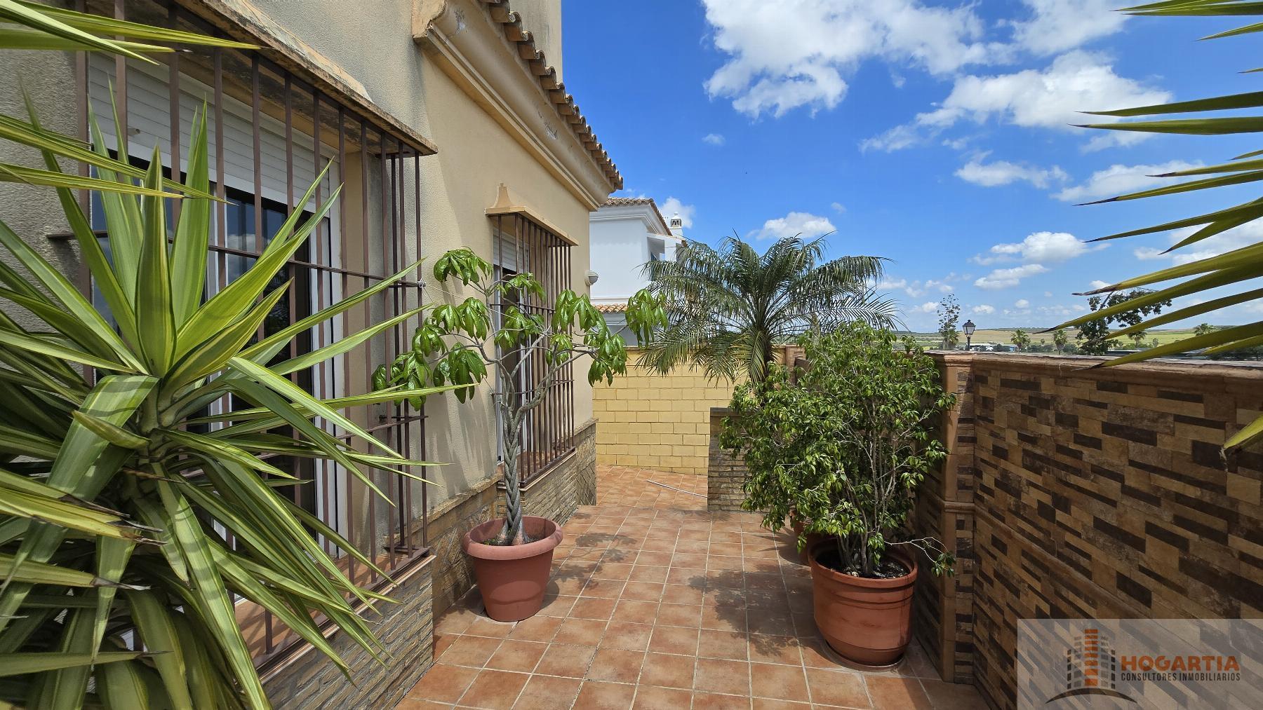 For sale of chalet in Olivares