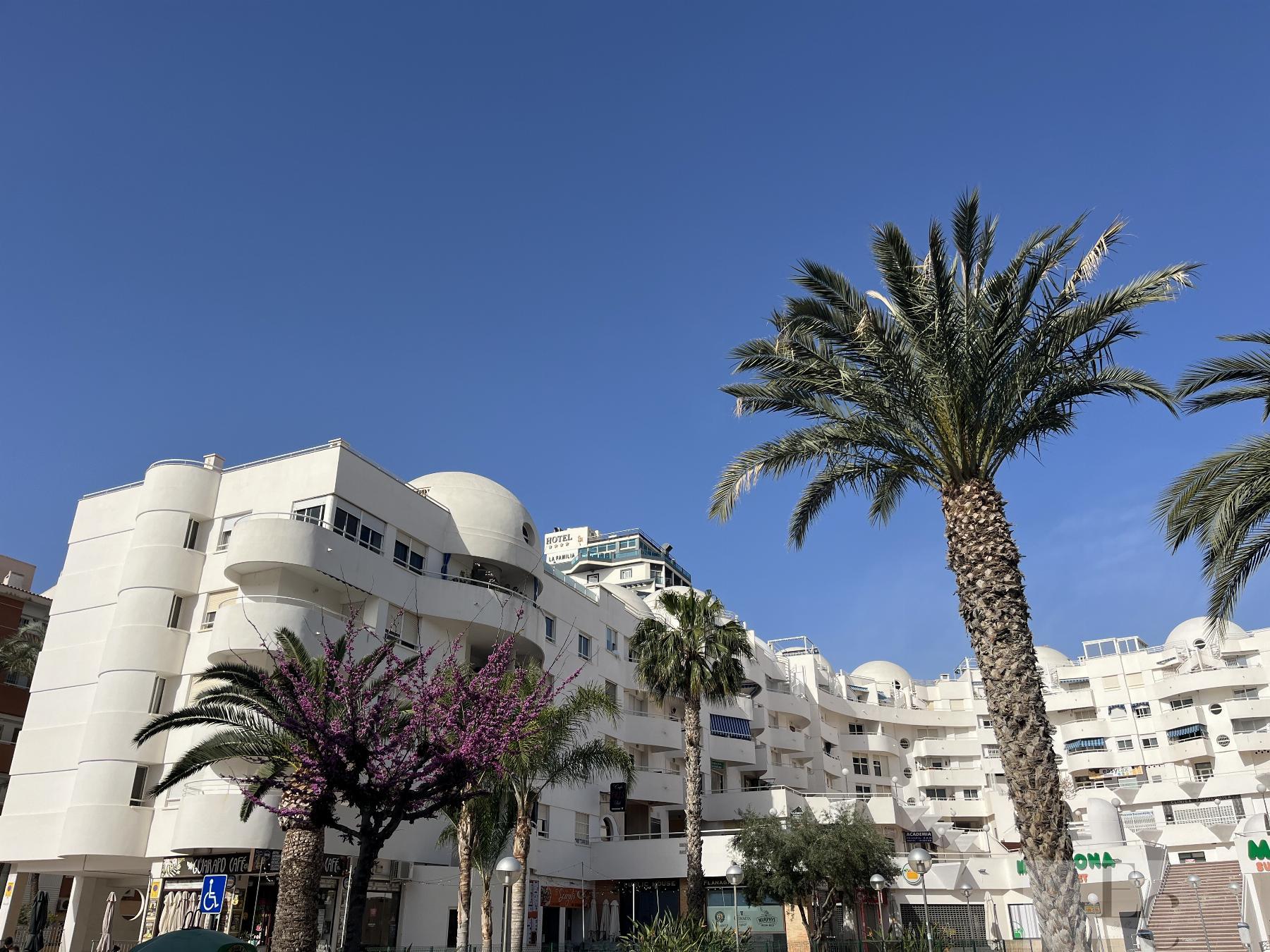 Apartamento en alquiler en El Campello Playa, El Campello