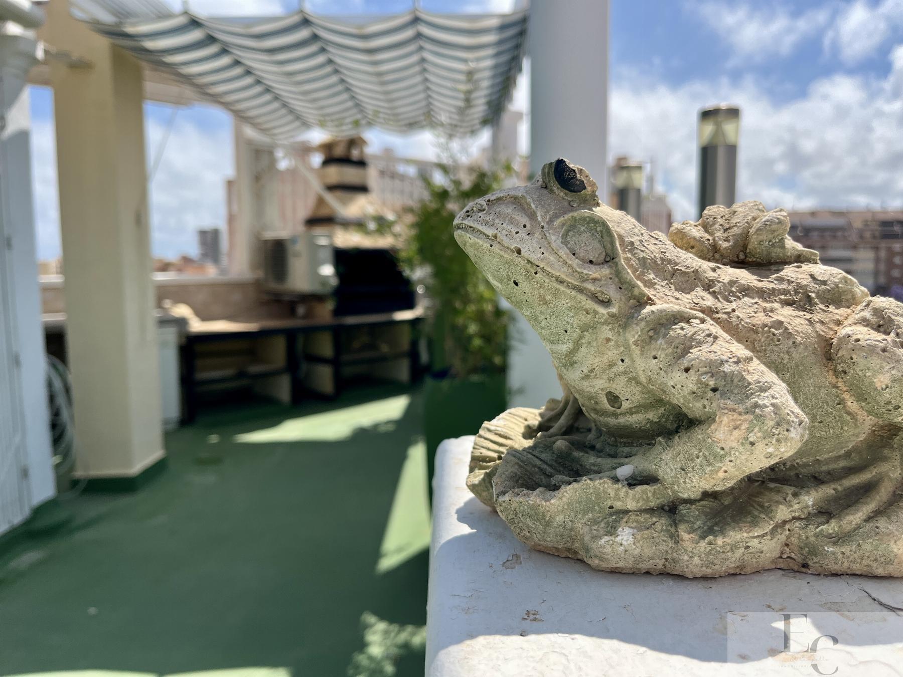 For sale of duplex in El Campello