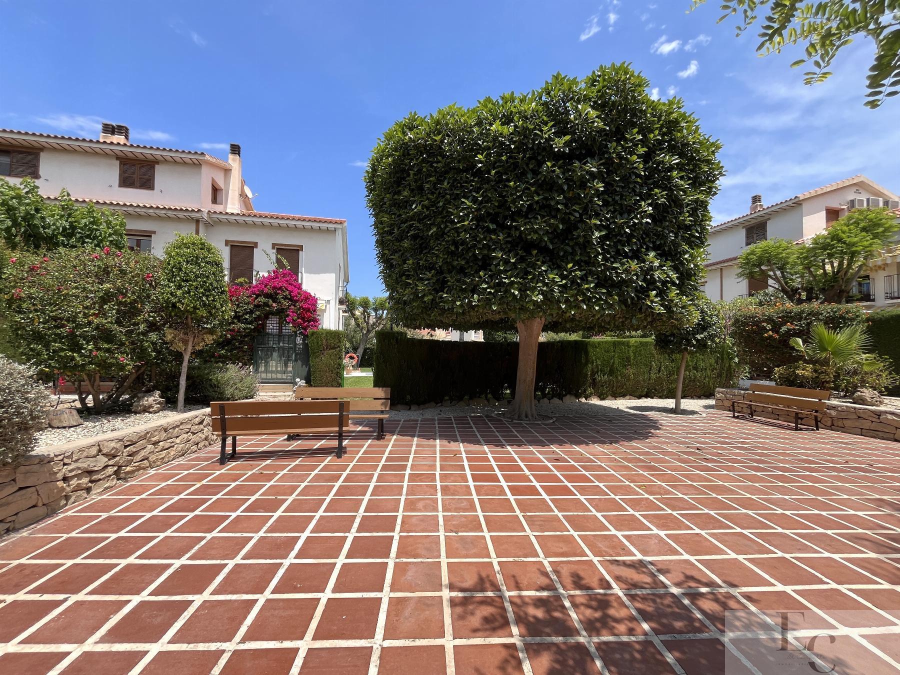 For rent of apartment in San Juan de Alicante