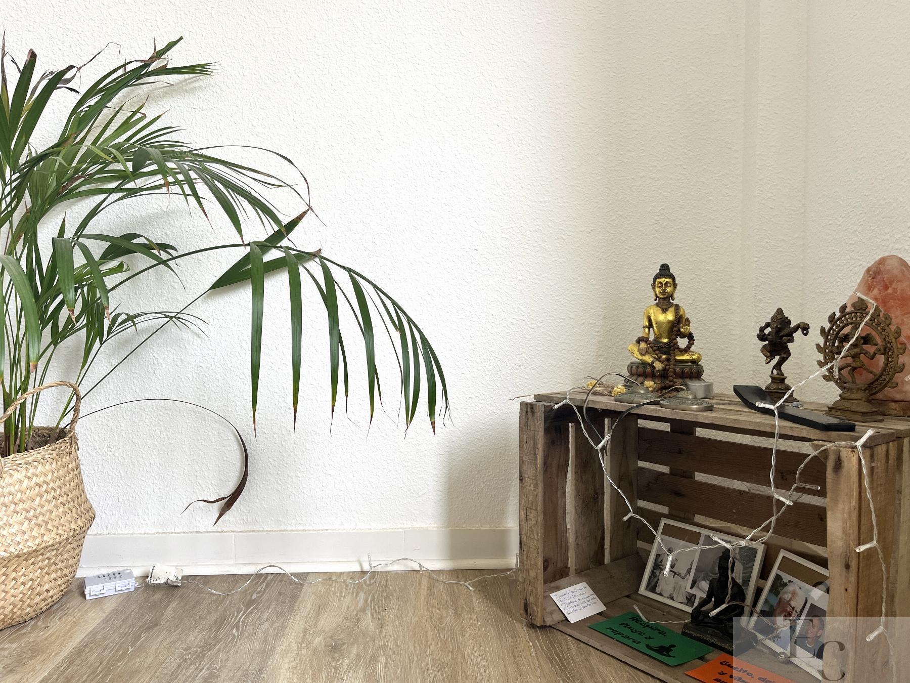For rent of apartment in San Juan de Alicante