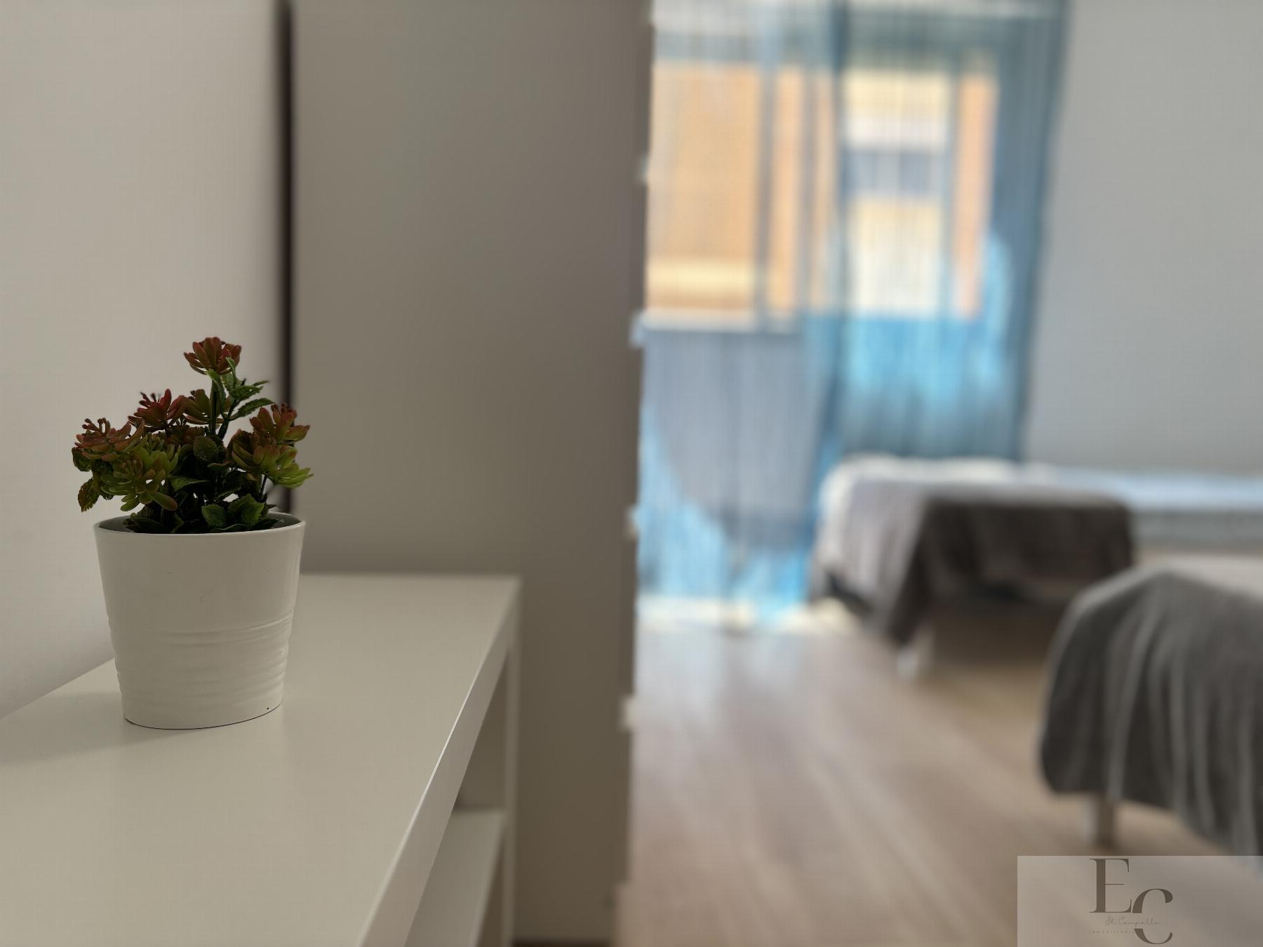 Noleggio di appartamento in El Campello
