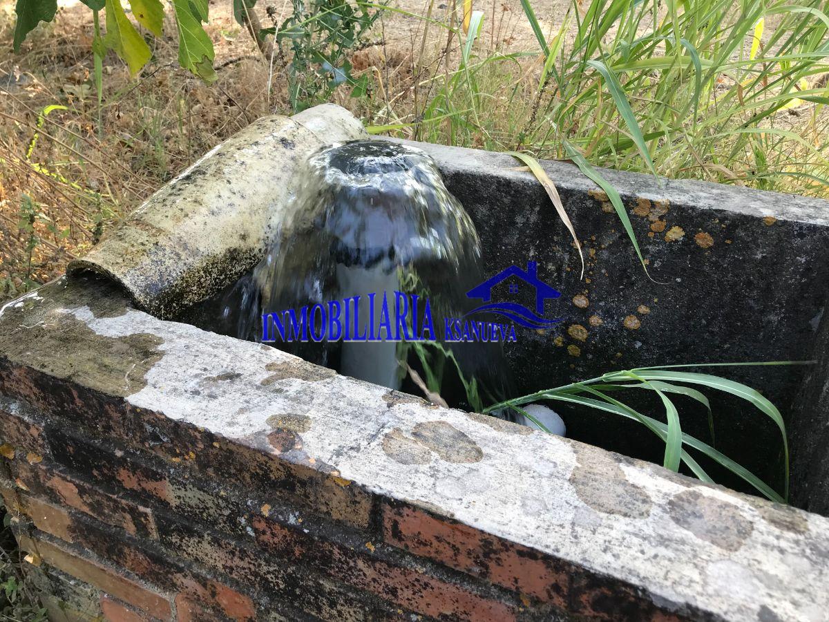 Venta de finca de recreo en Córdoba