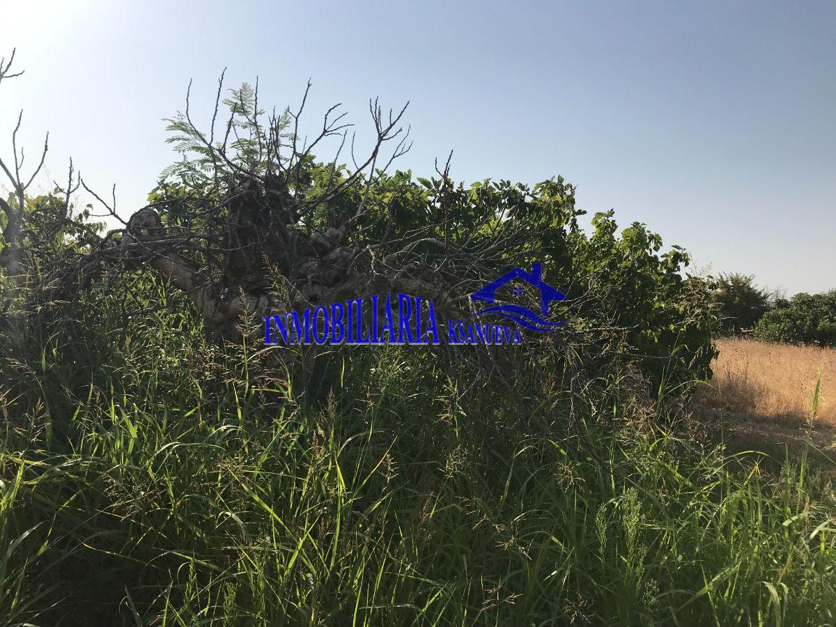 Venta de finca de recreo en Córdoba