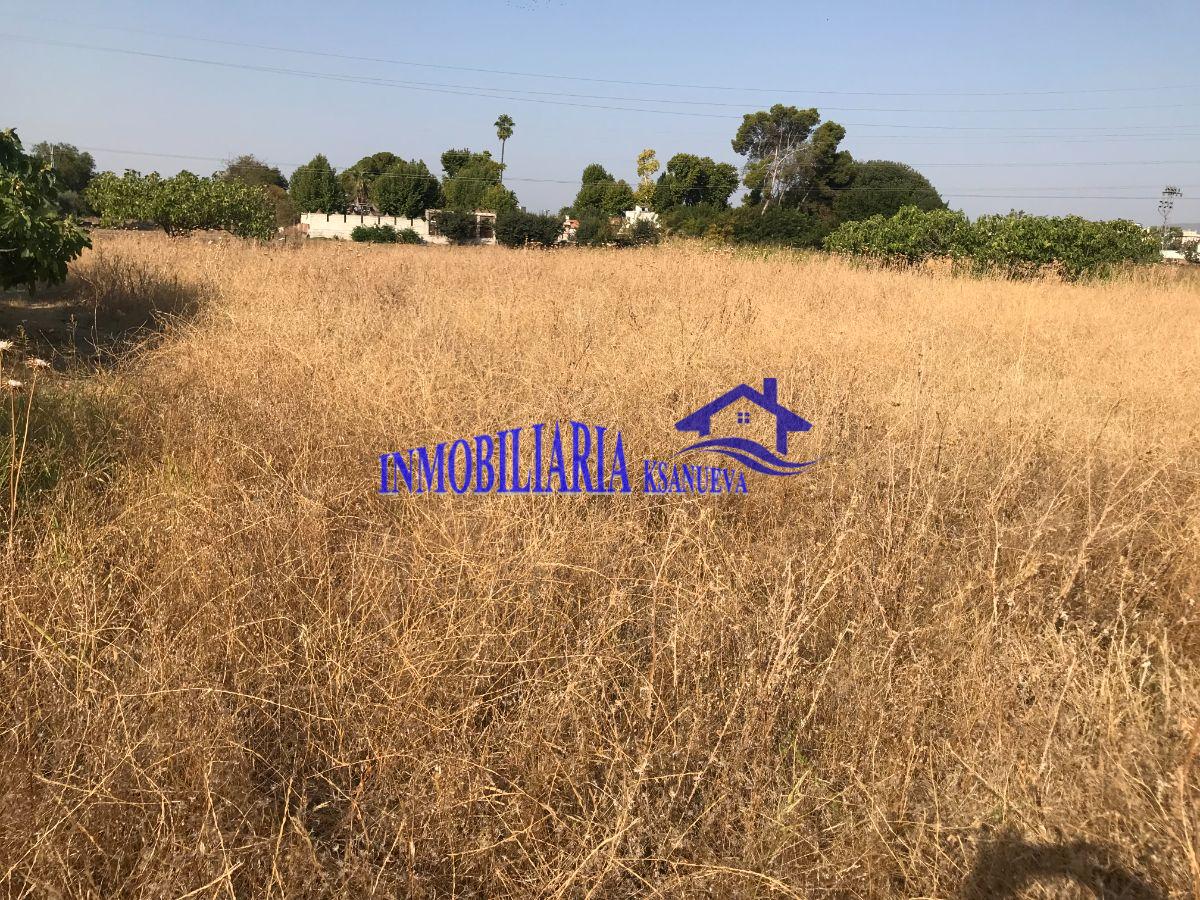 Venta de finca de recreo en Córdoba