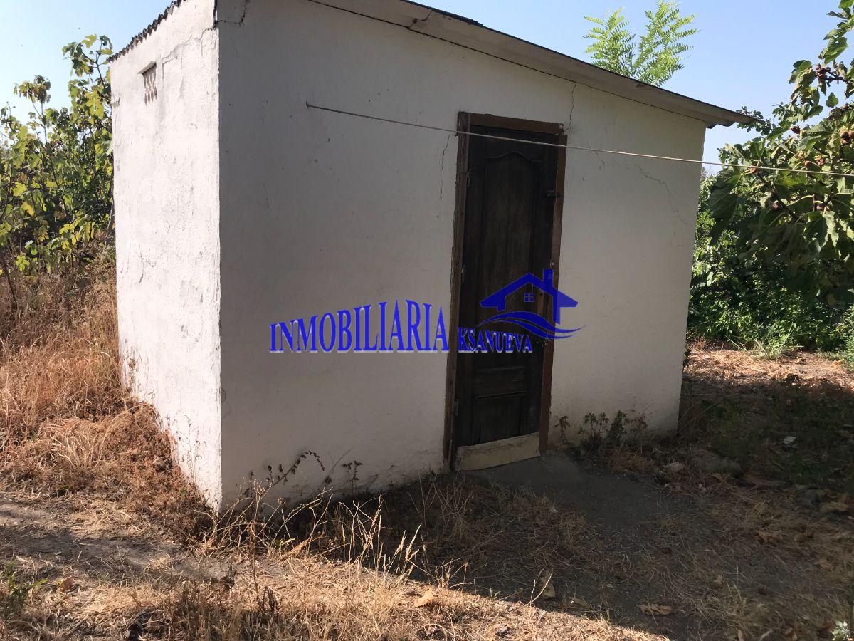 Venta de finca de recreo en Córdoba