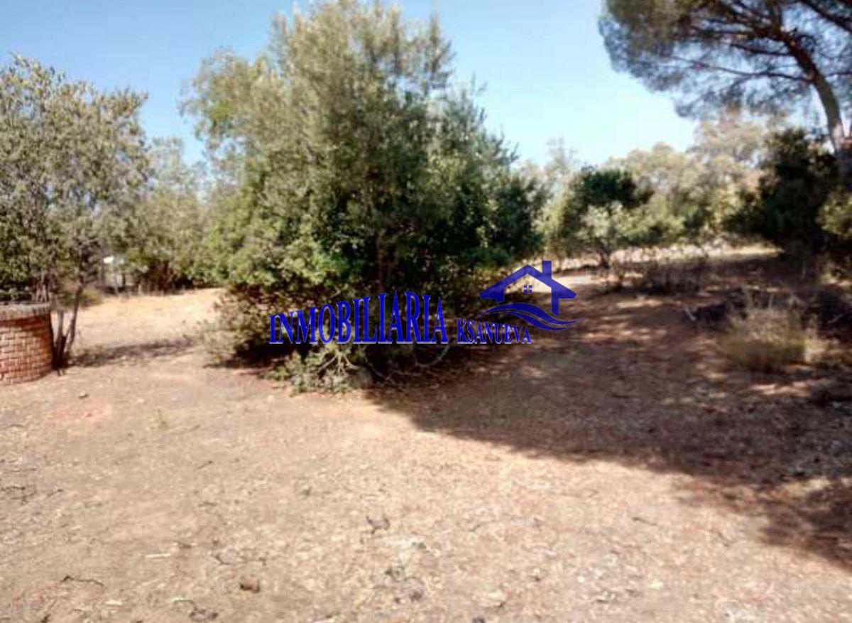 For sale of rural property in Córdoba