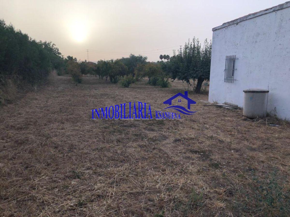 For sale of  in Córdoba