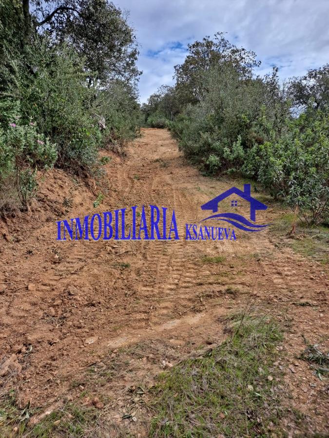 Venta de finca rústica en Córdoba