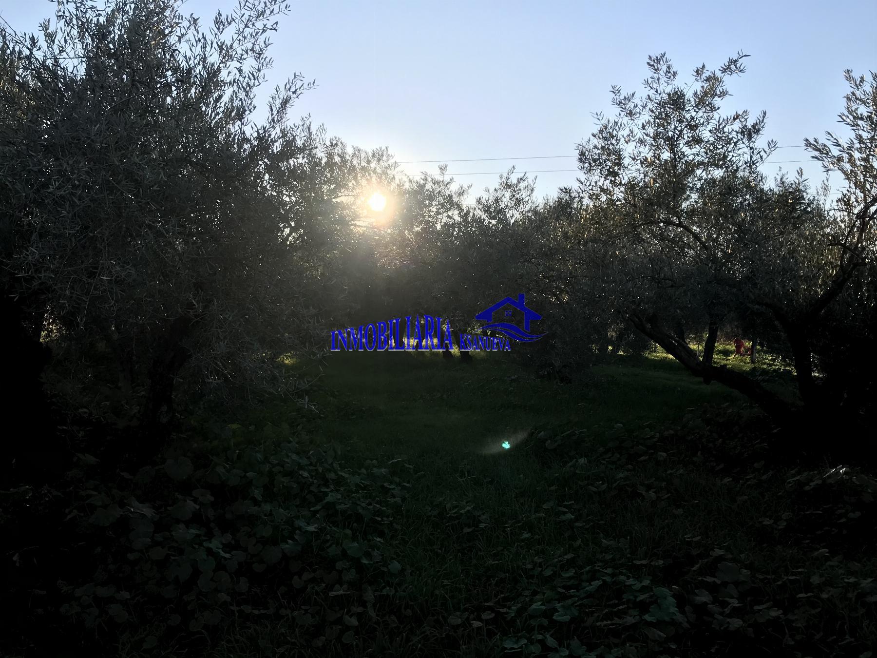 For sale of rural property in Córdoba