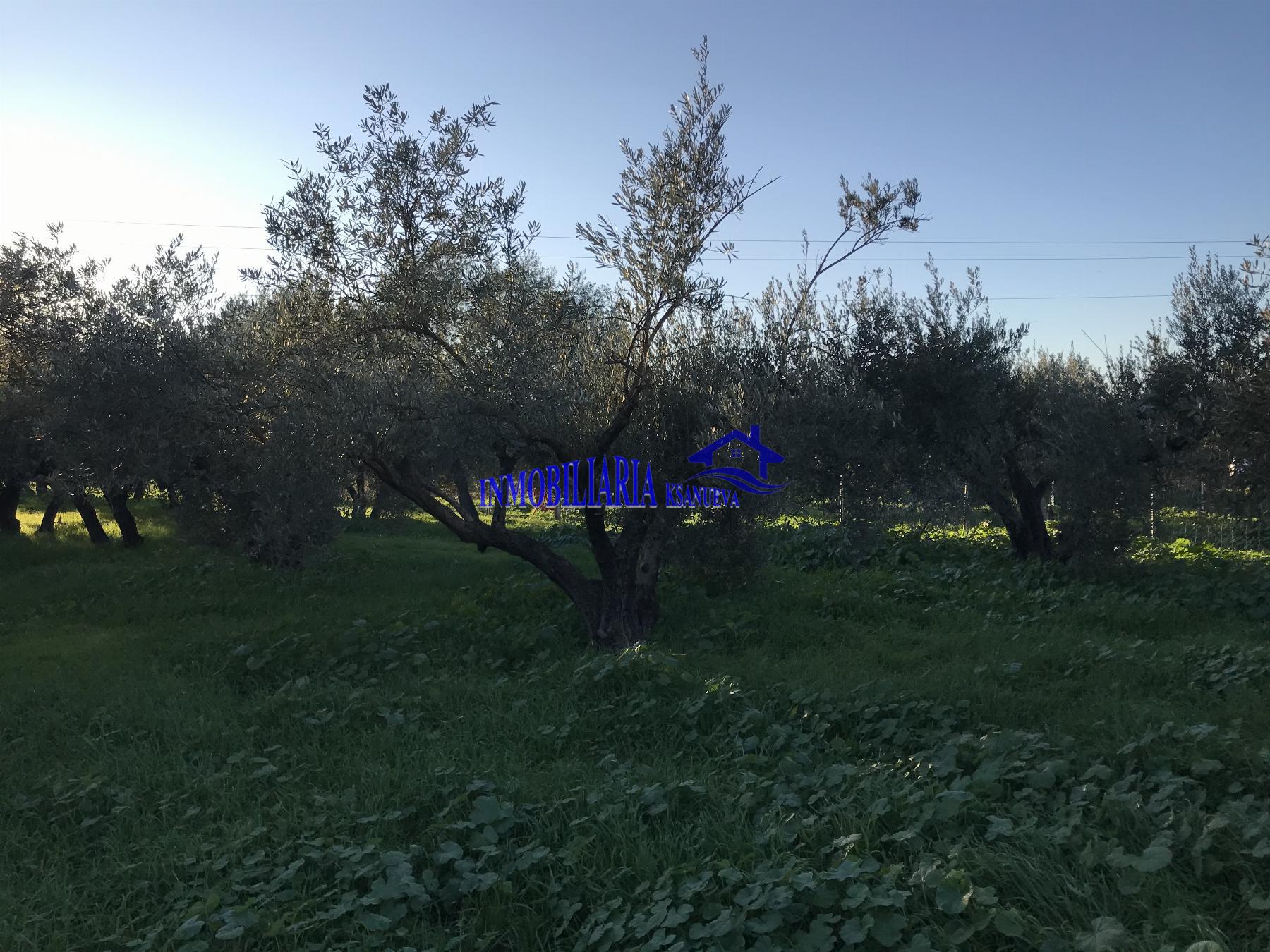 For sale of rural property in Córdoba