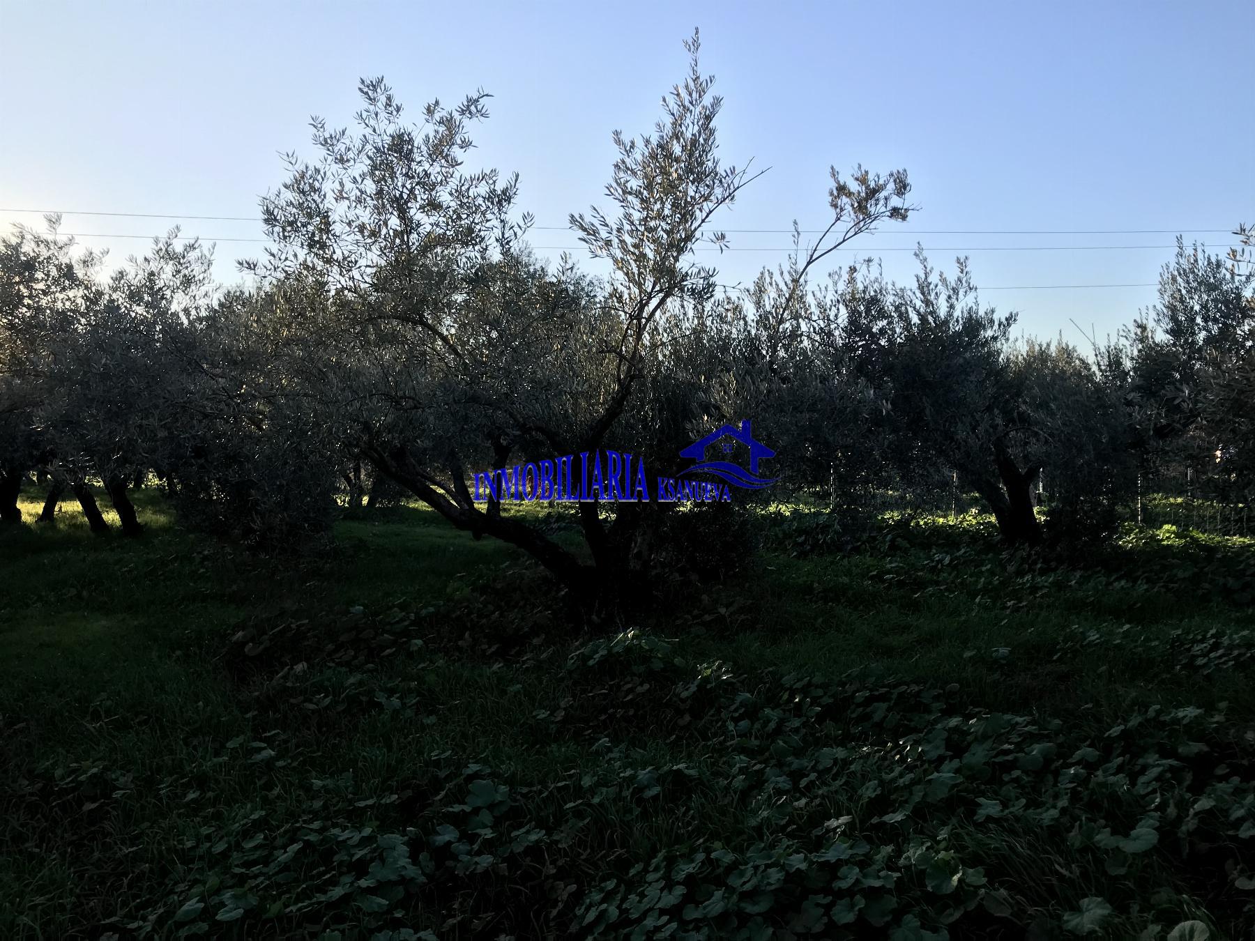 For sale of rural property in Córdoba