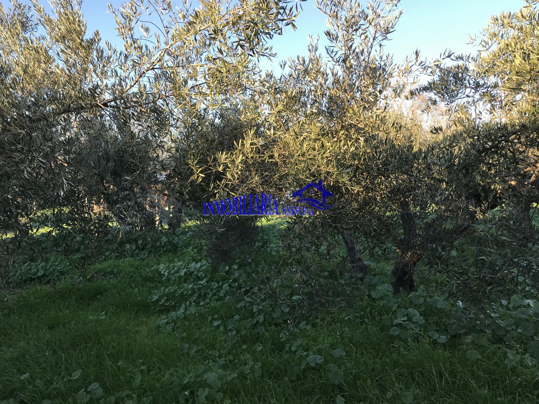 For sale of rural property in Córdoba