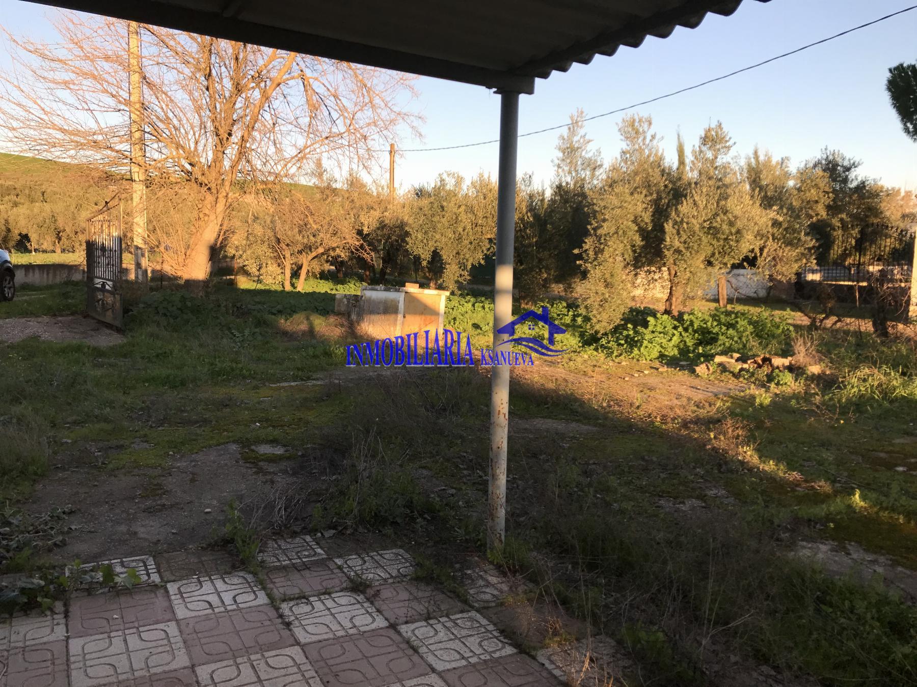 Venta de finca rústica en Córdoba