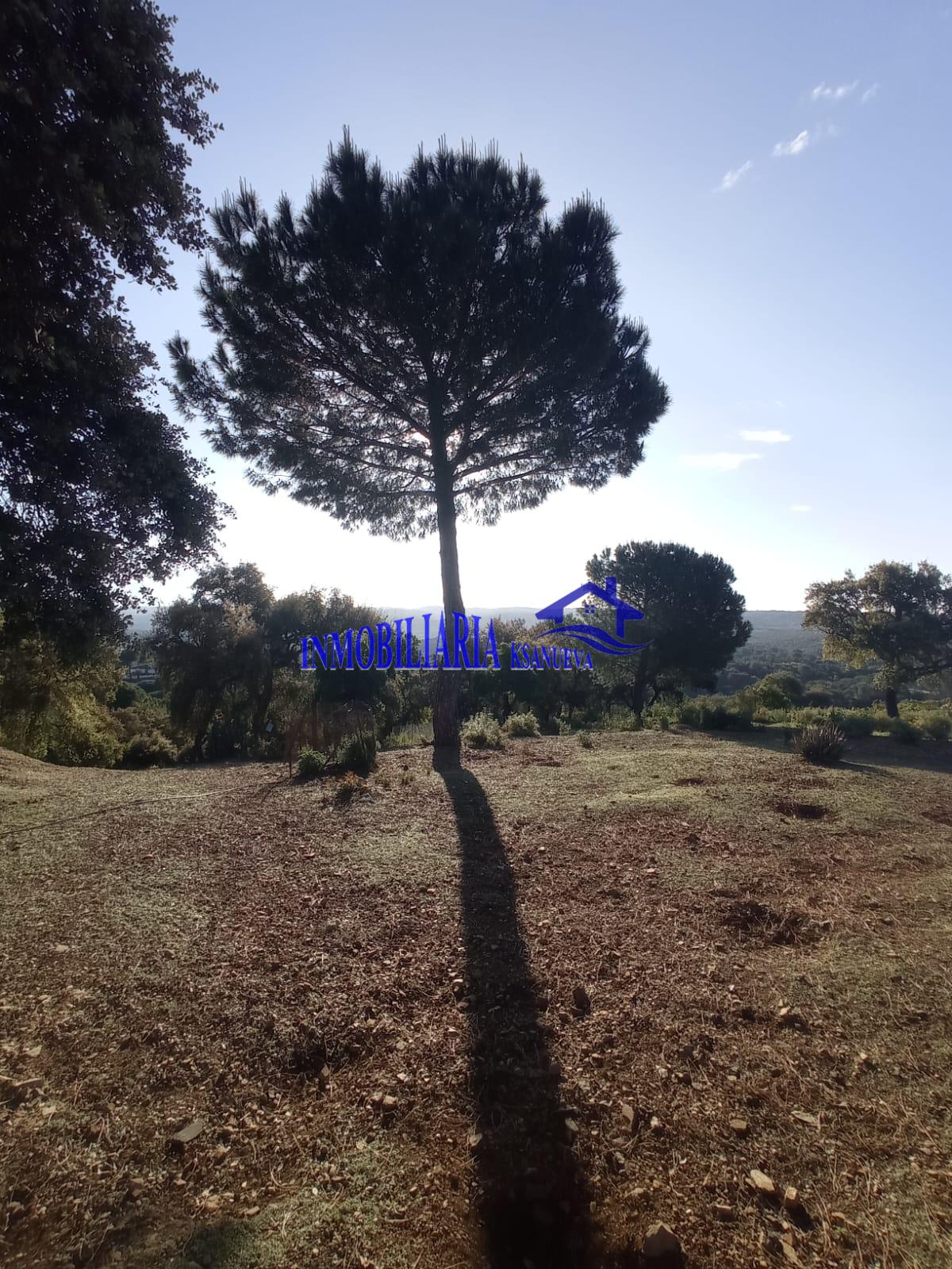 For sale of chalet in Córdoba