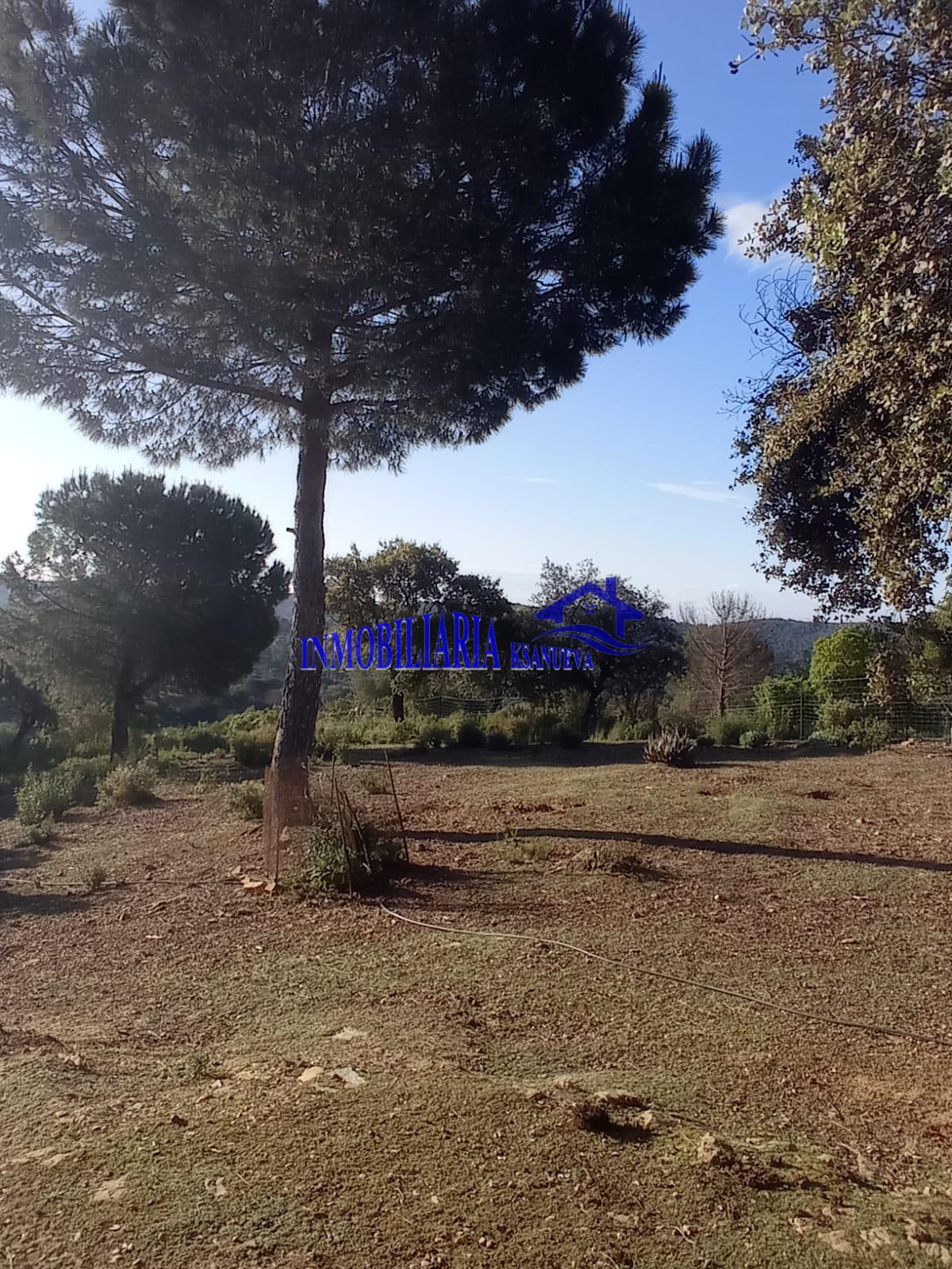 For sale of chalet in Córdoba