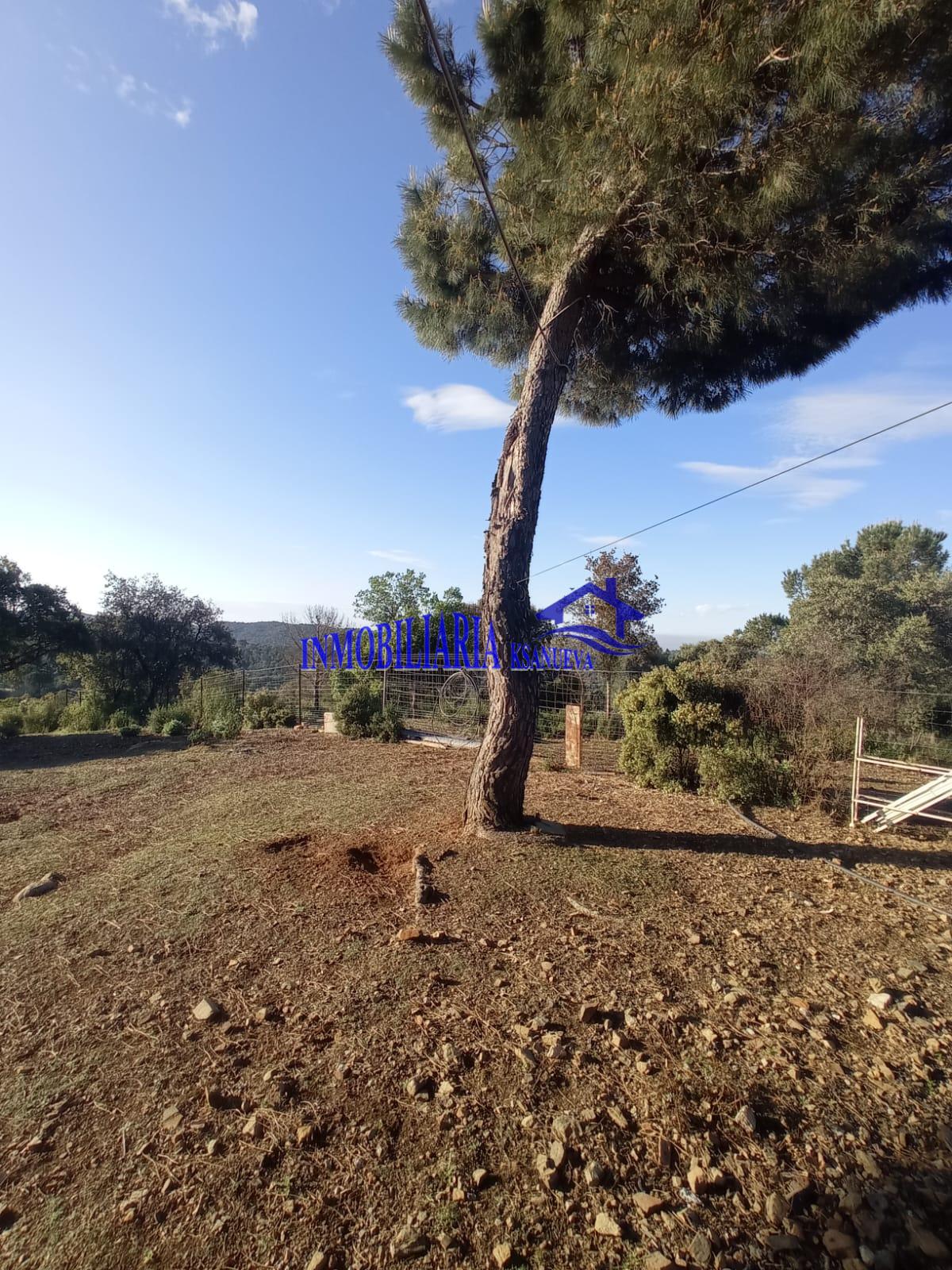 For sale of chalet in Córdoba