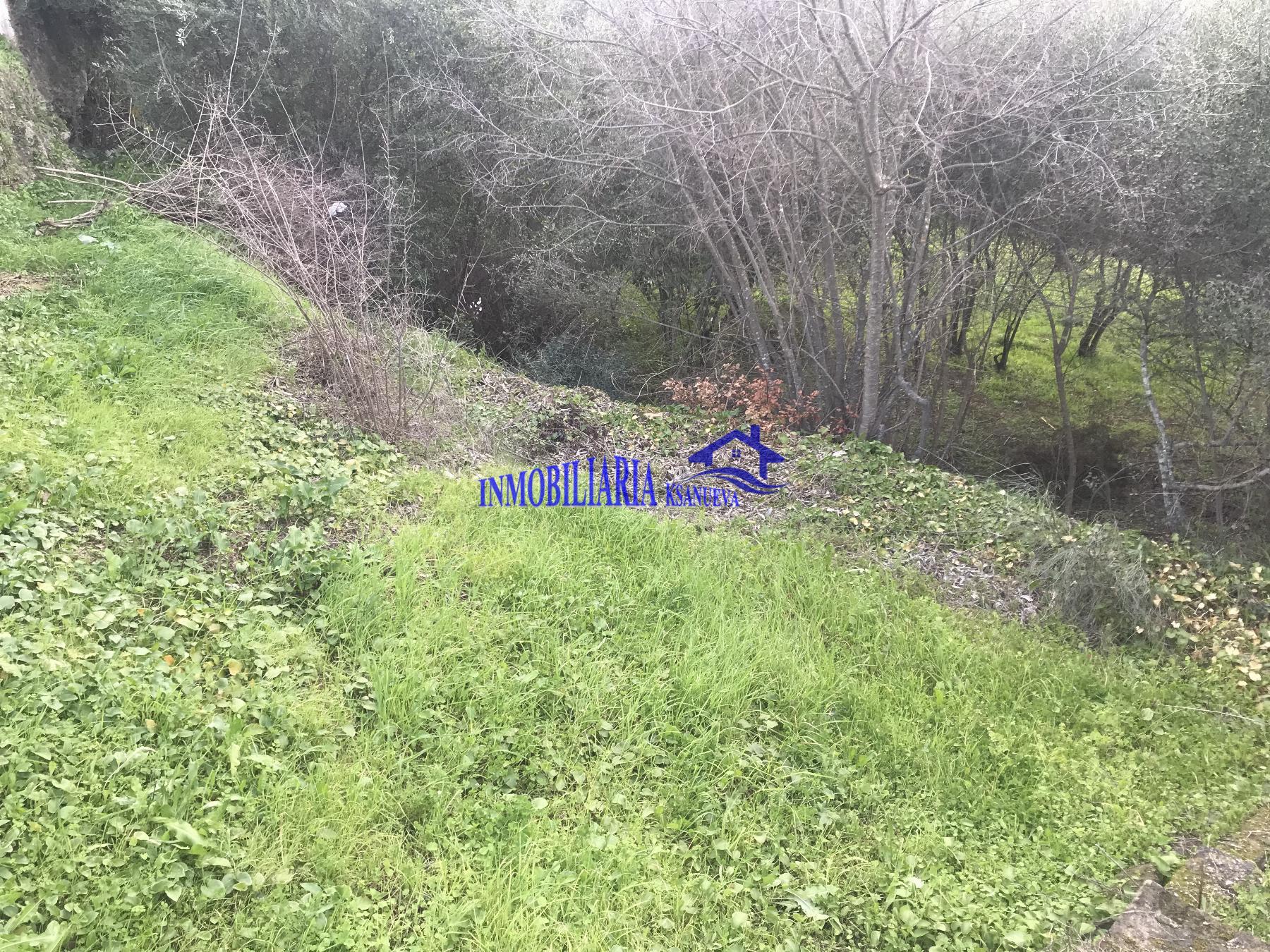 For sale of rural property in Córdoba
