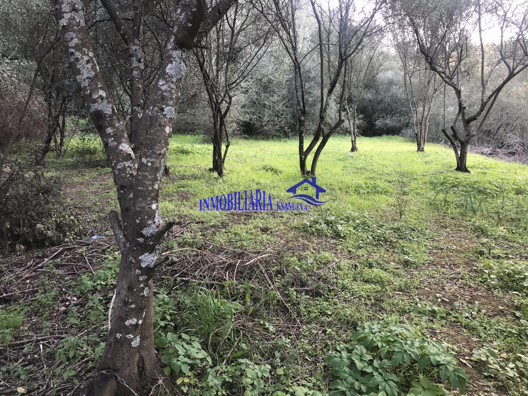 For sale of rural property in Córdoba