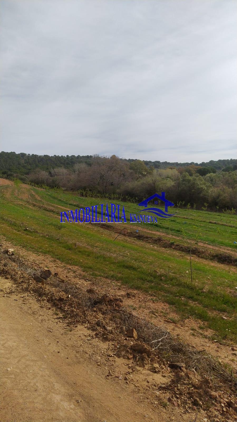 Venta de finca rústica en Córdoba