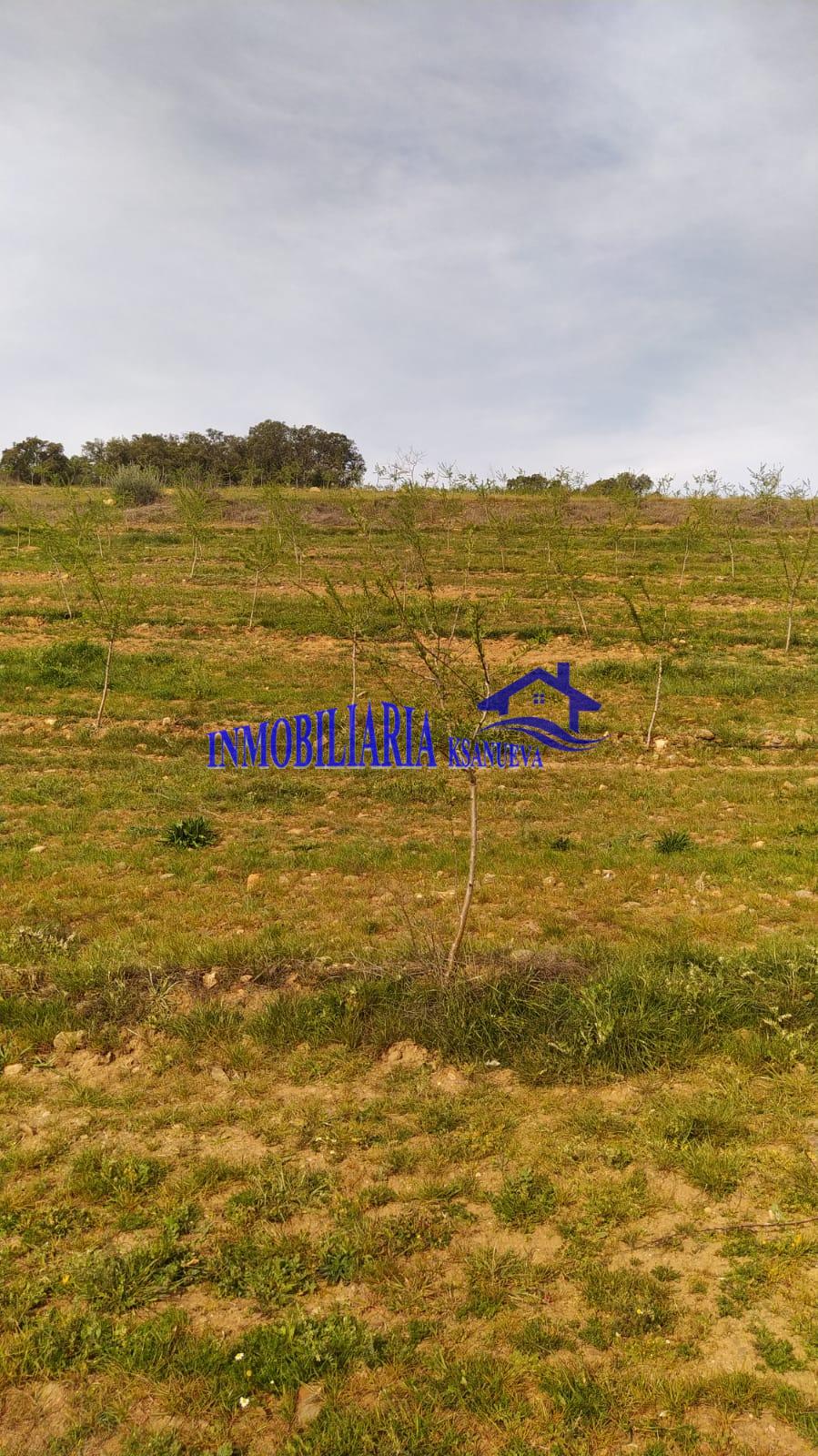 Venta de finca rústica en Córdoba