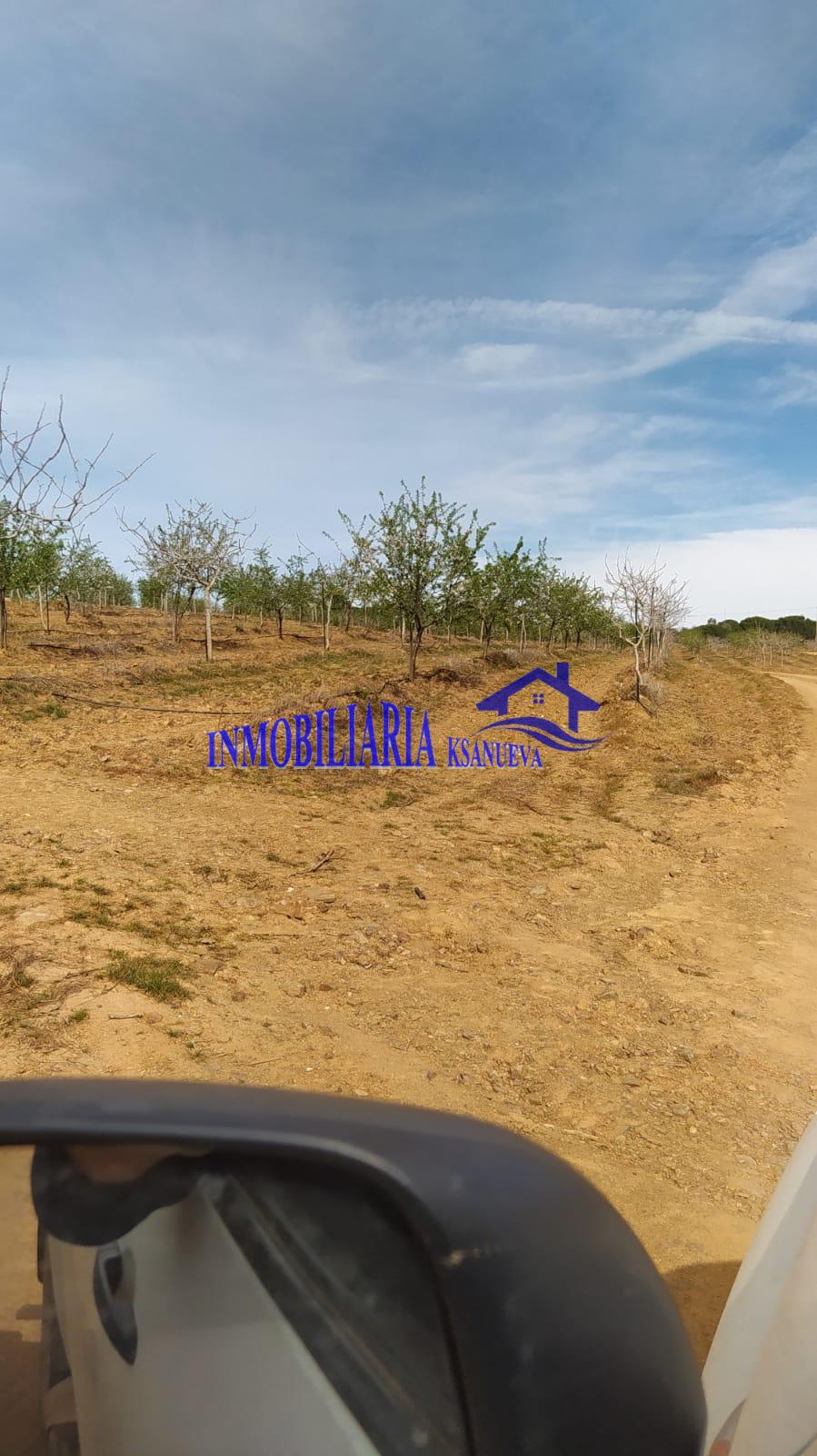 Venta de finca rústica en Córdoba