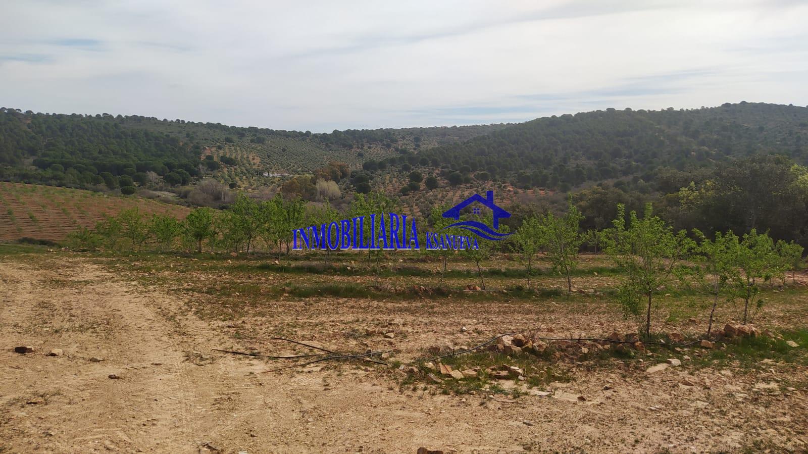 Venta de finca rústica en Córdoba