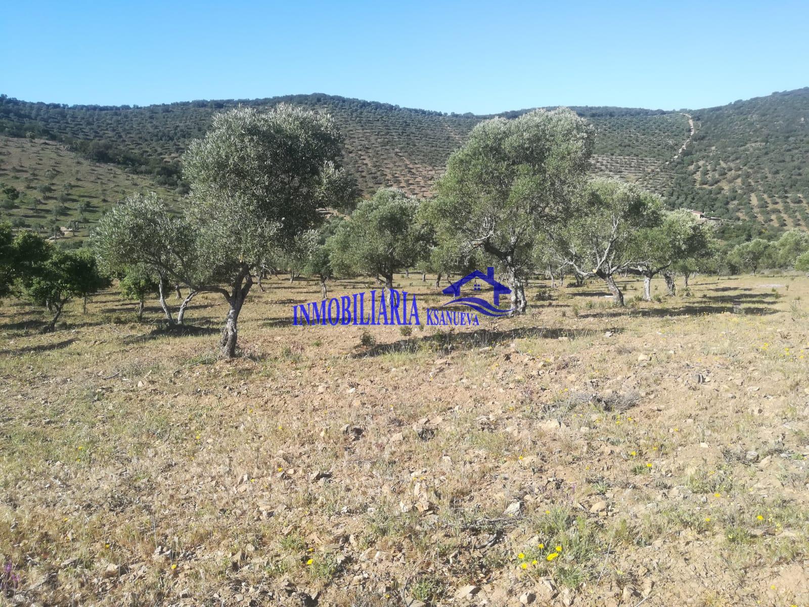 For sale of flat in Córdoba