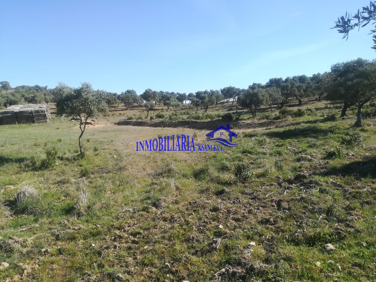 For sale of flat in Córdoba