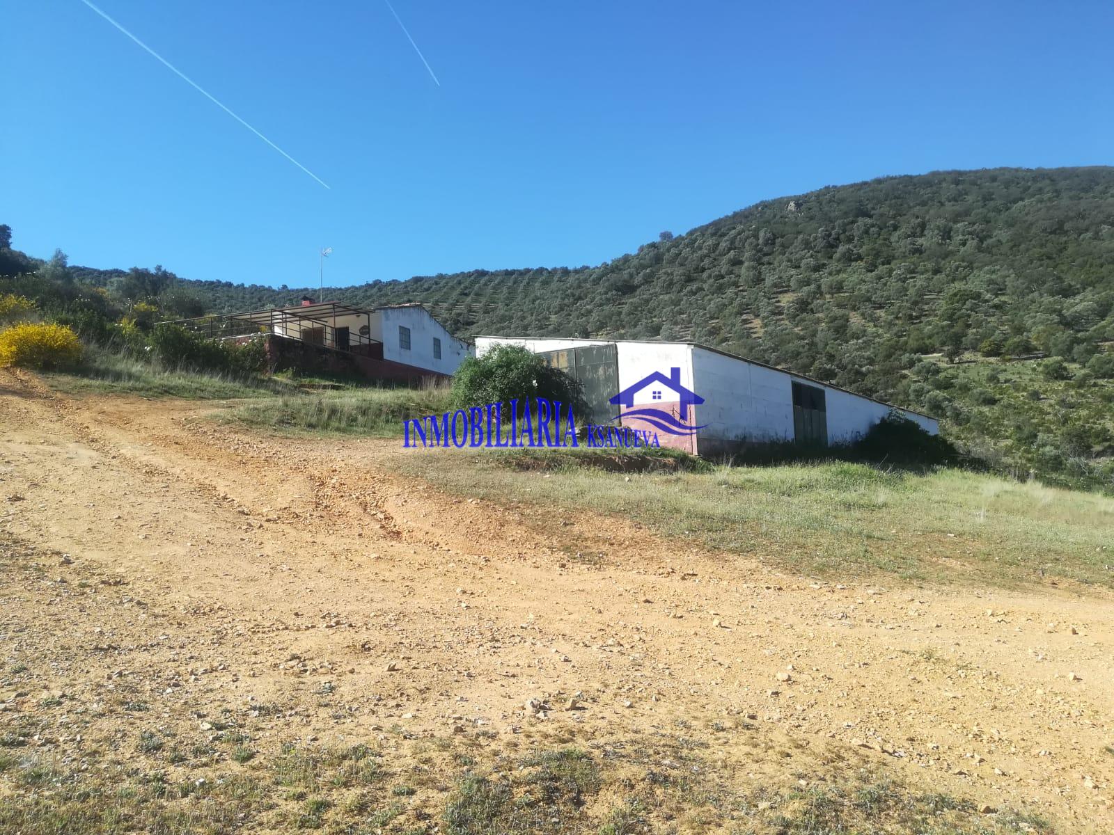 For sale of flat in Córdoba
