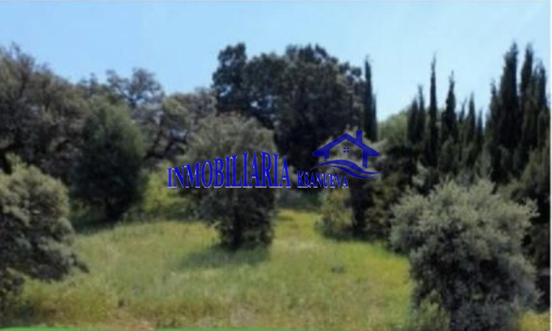 For sale of land in Córdoba